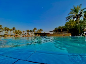 A clear swimming pool reflecting the bright blue sky and surrounded by palm trees. There is a structure with wooden beams and railings in the background, giving a resort-like feel. Sun loungers and some people are visible, enjoying the sunny day.