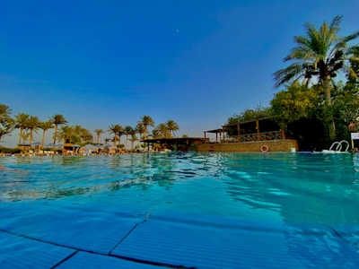 A clear swimming pool reflecting the bright blue sky and surrounded by palm trees. There is a structure with wooden beams and railings in the background, giving a resort-like feel. Sun loungers and some people are visible, enjoying the sunny day.