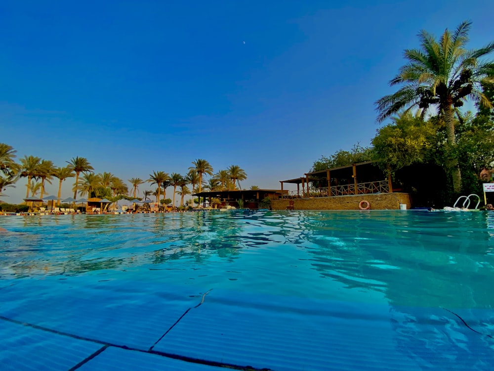 a pool with trees and buildings around it