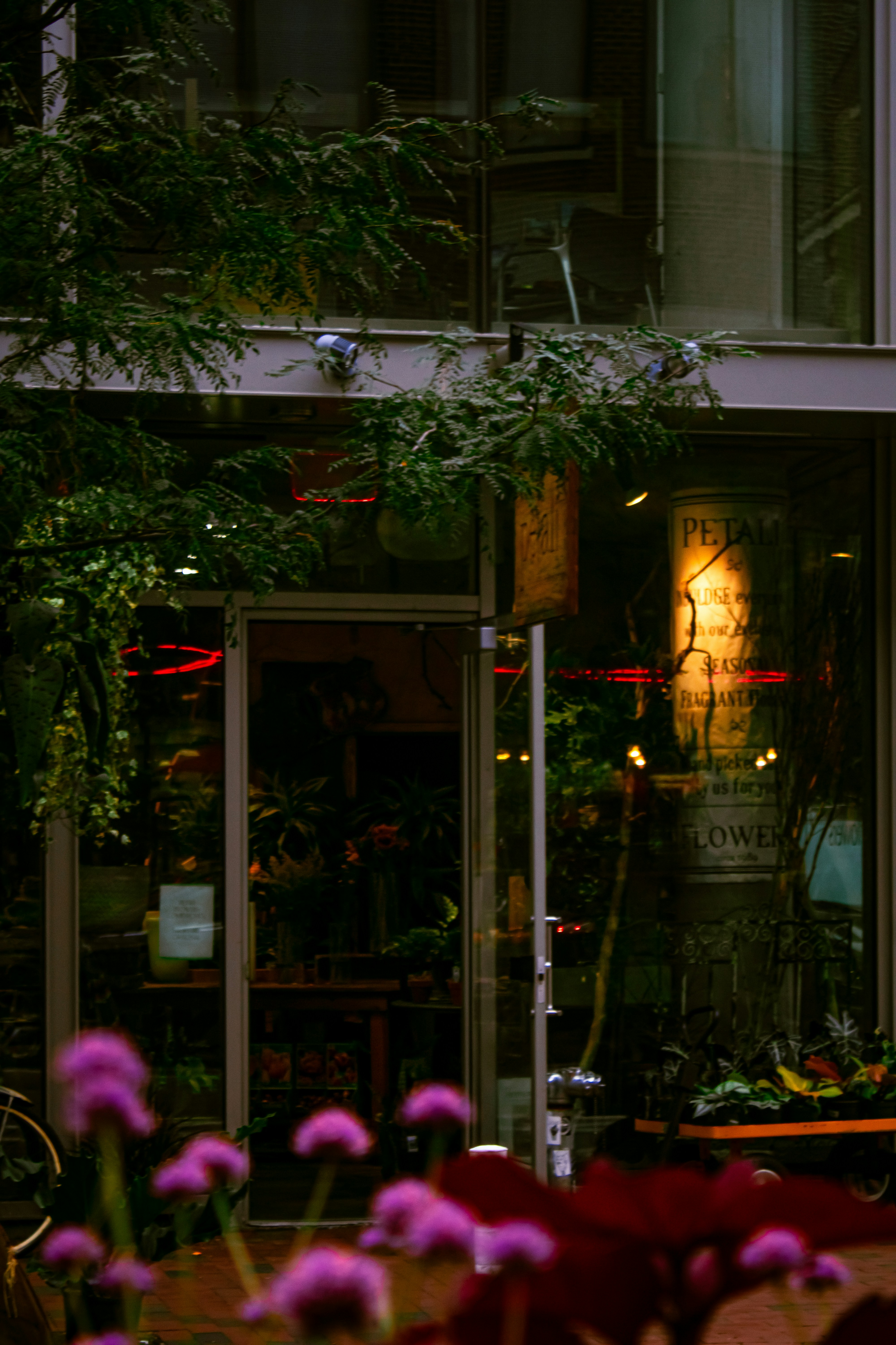 Photo by michaelsoto