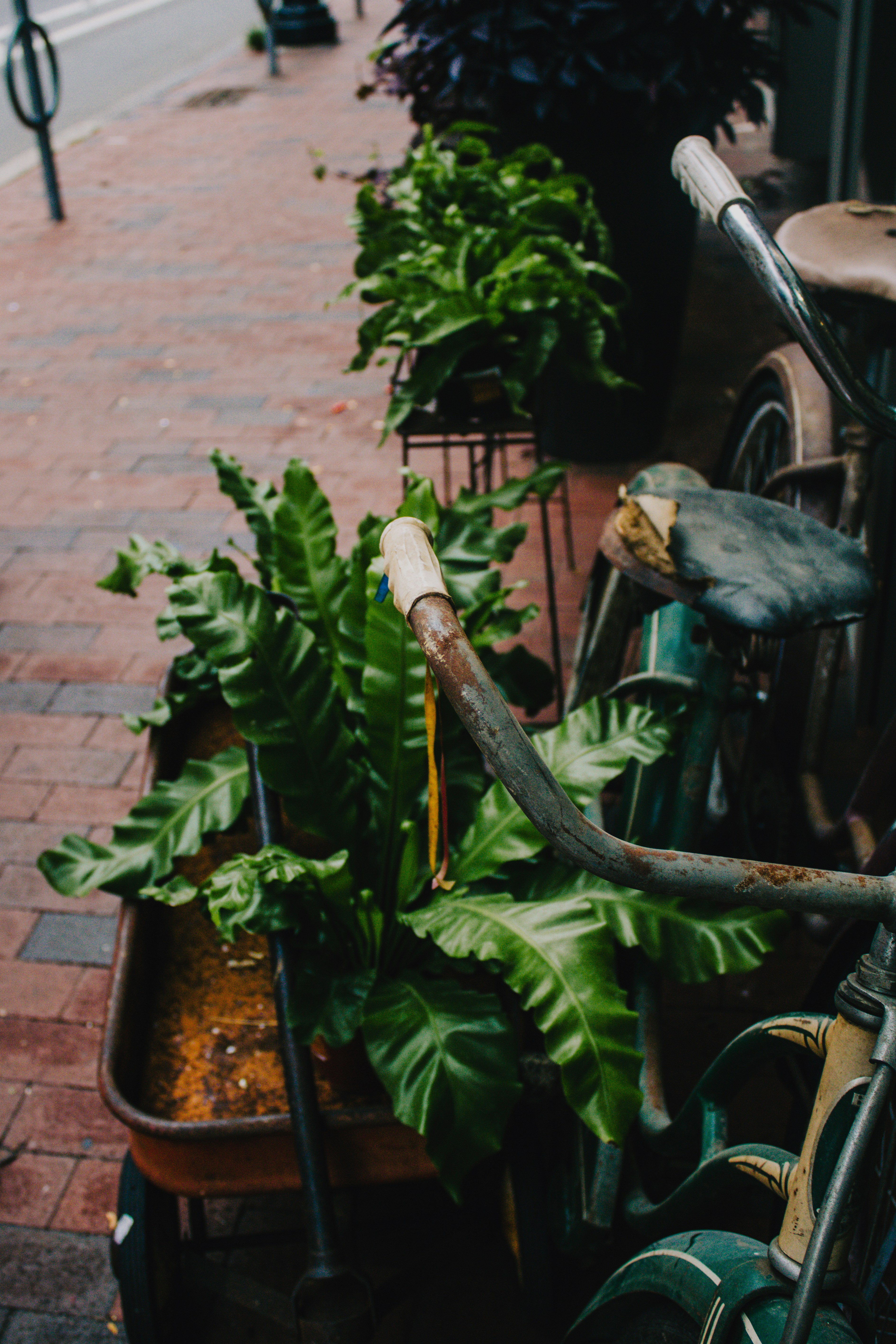 Photo by michaelsoto