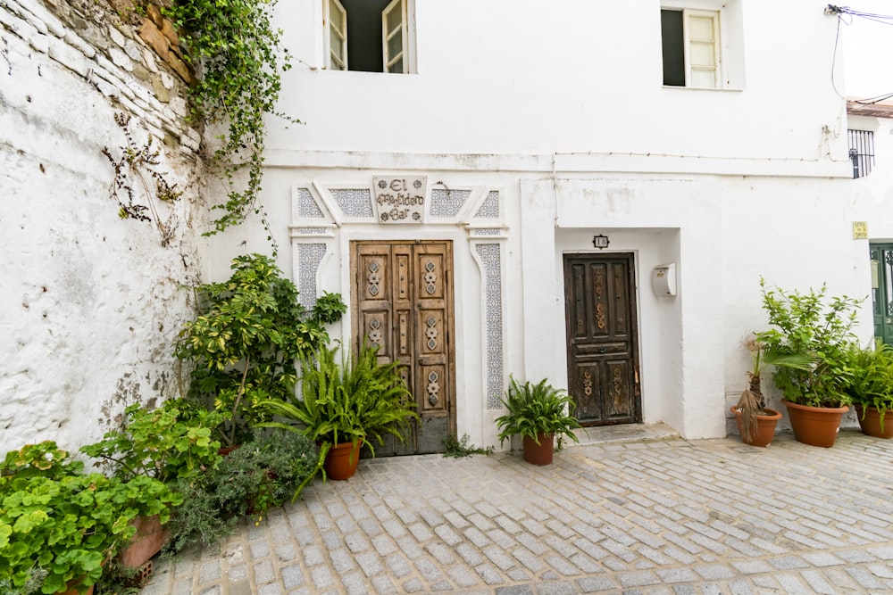 a white building with a door and plants in front of it