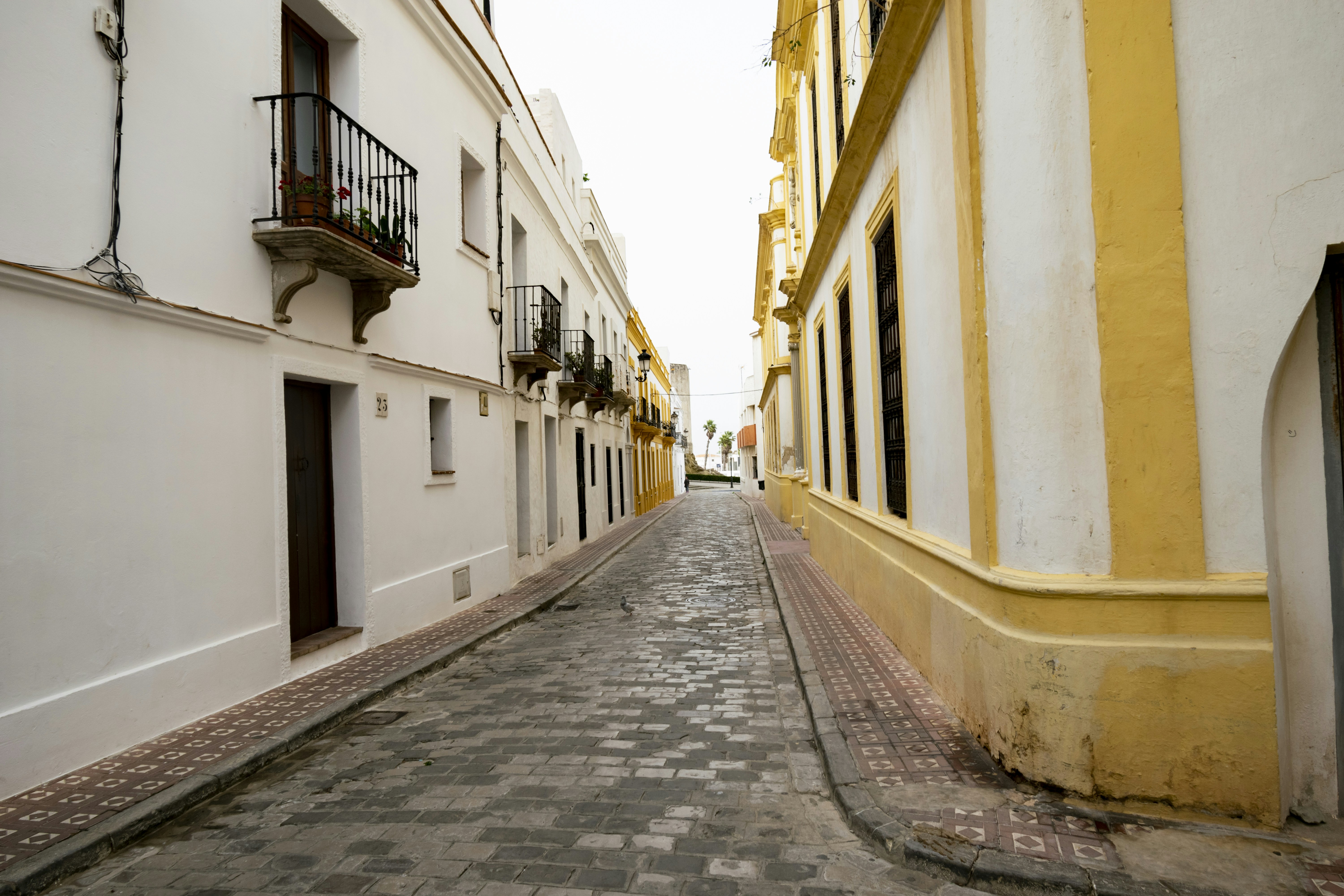 Photo by rafagarrido