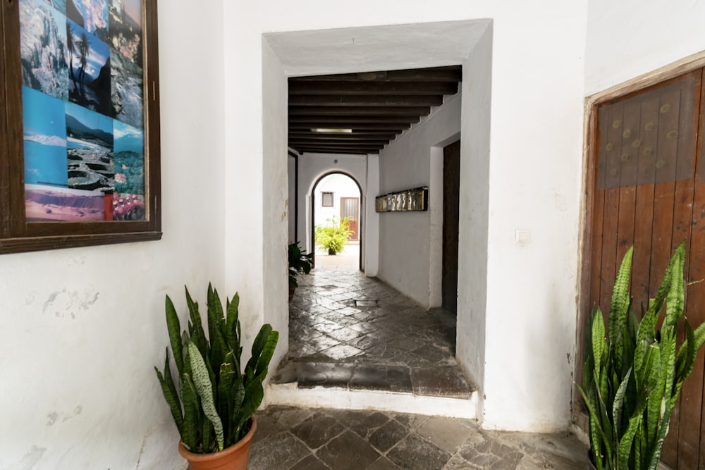 a hallway with plants and a painting on the wall