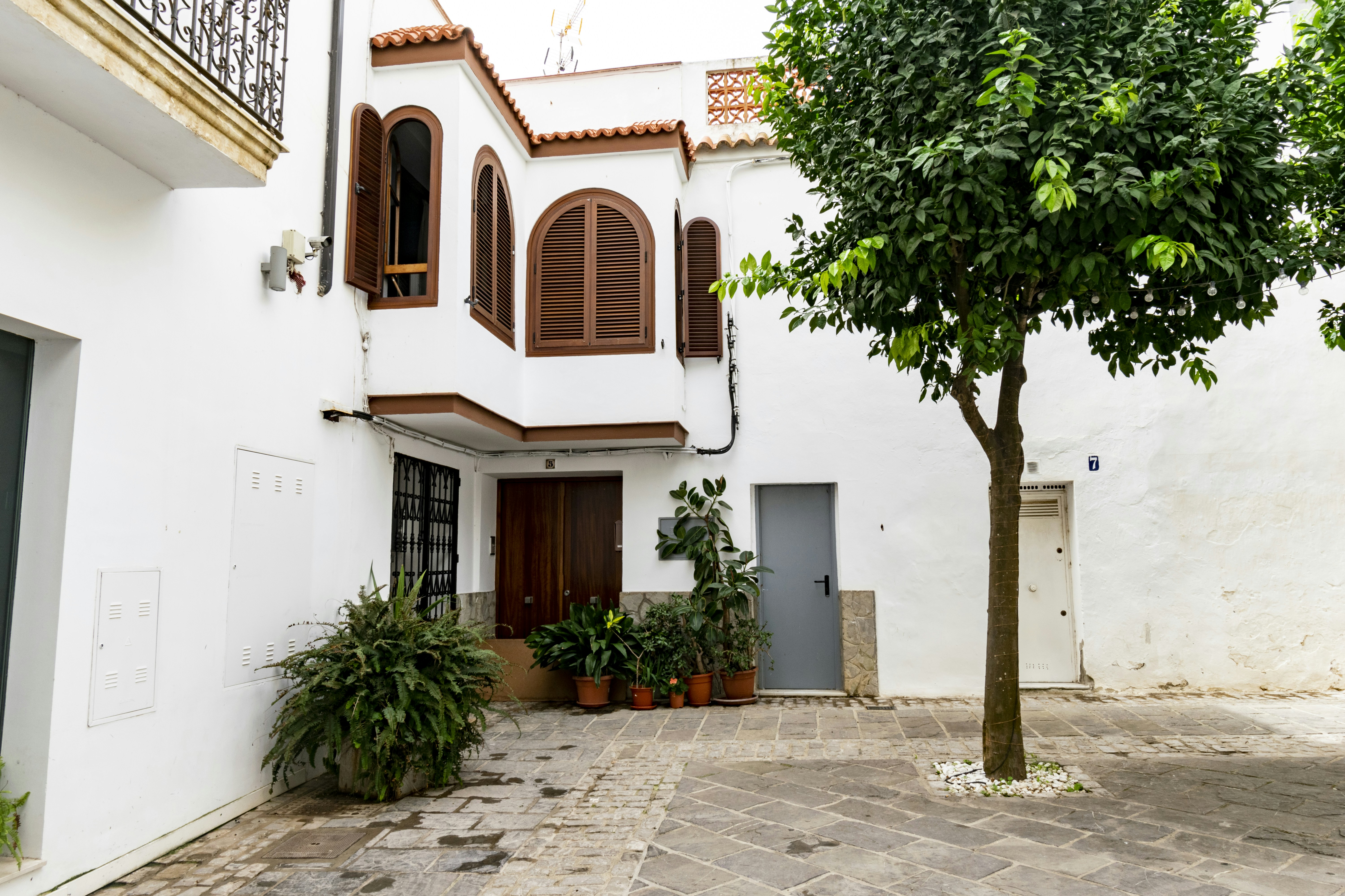 Photo by rafagarrido