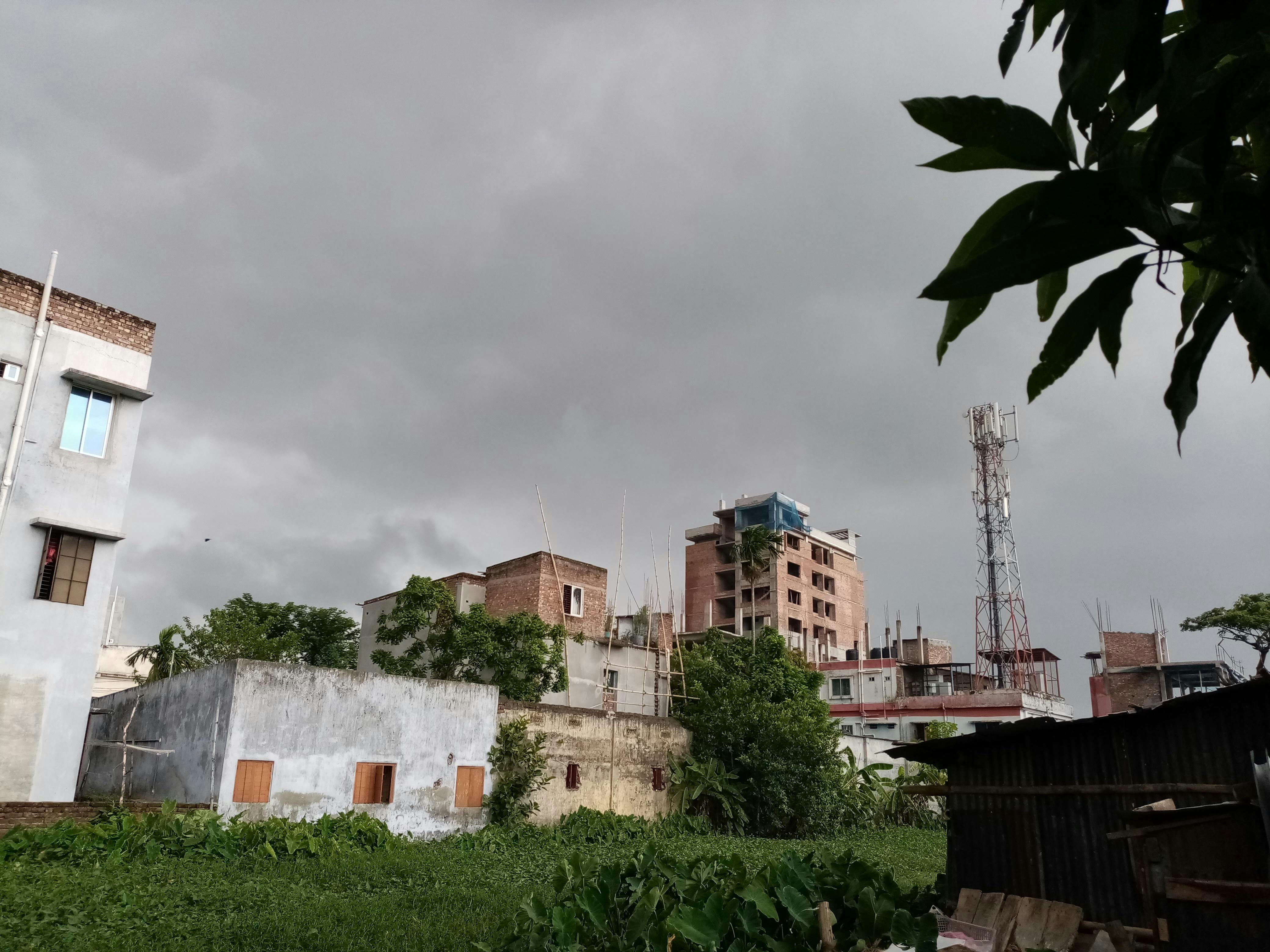 Photo by anisurrahman235