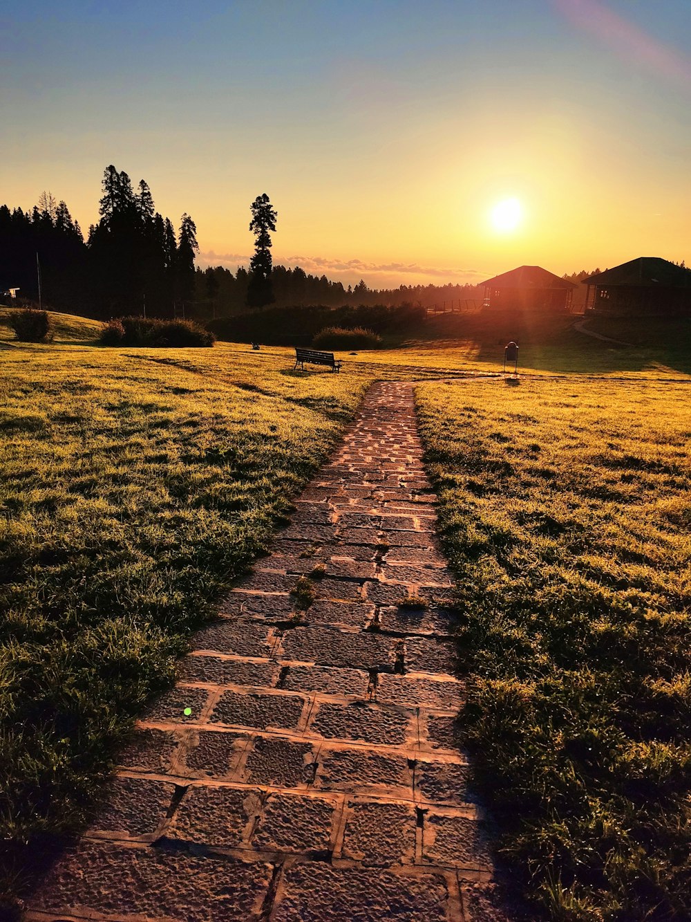 a stone pathway with grass and trees