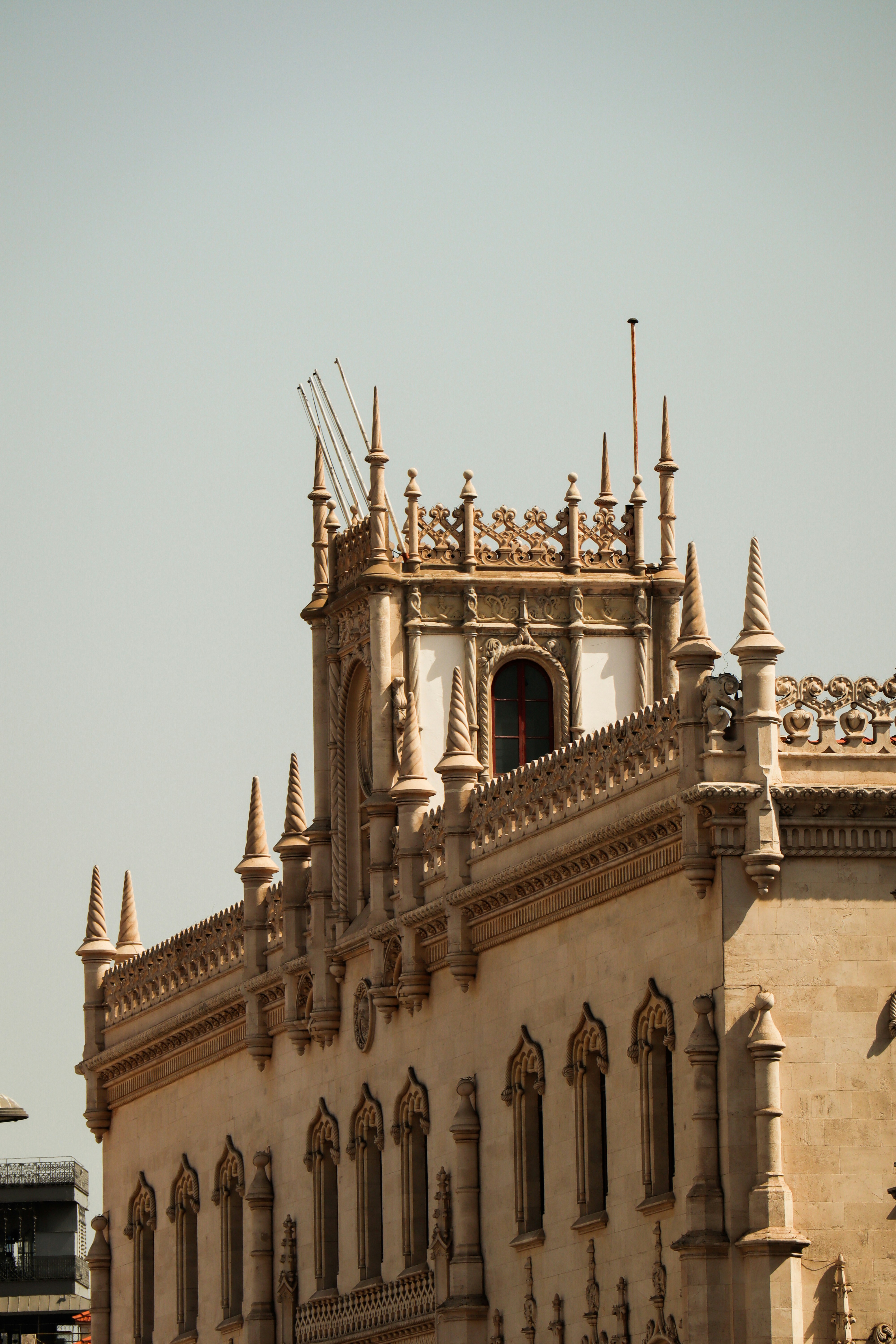 Photo by nalani_photo