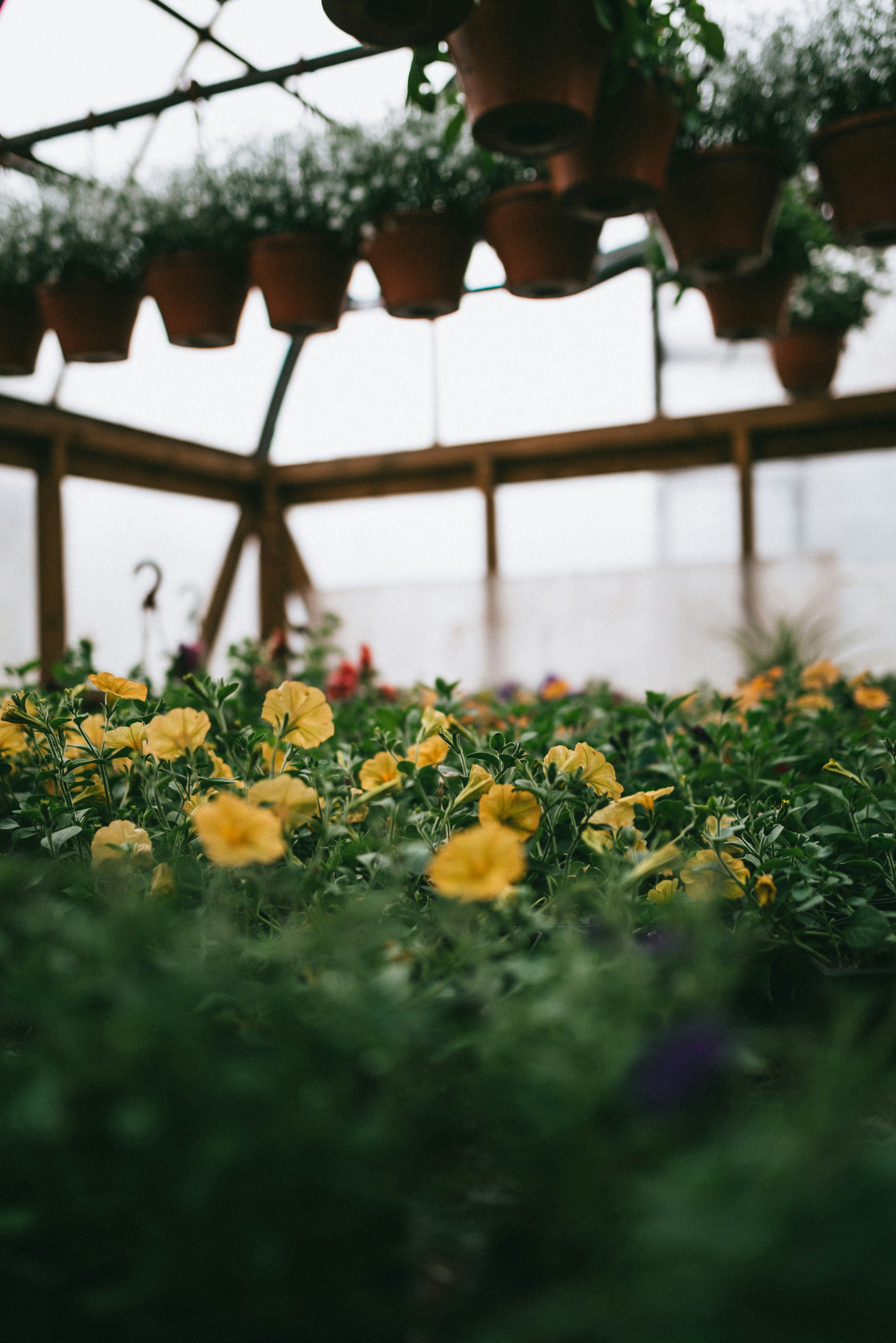 Photo by korobovaphoto