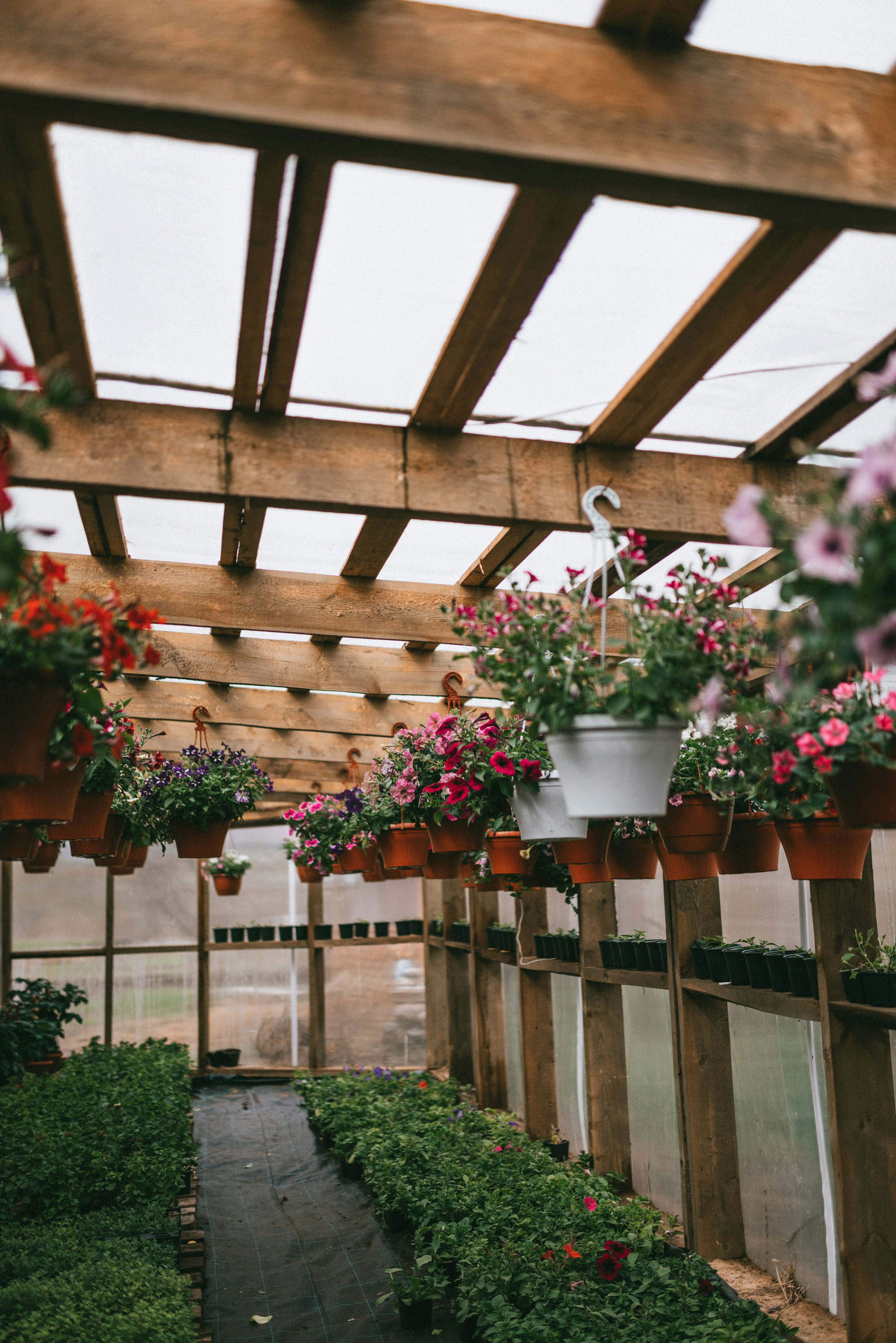 Photo by korobovaphoto