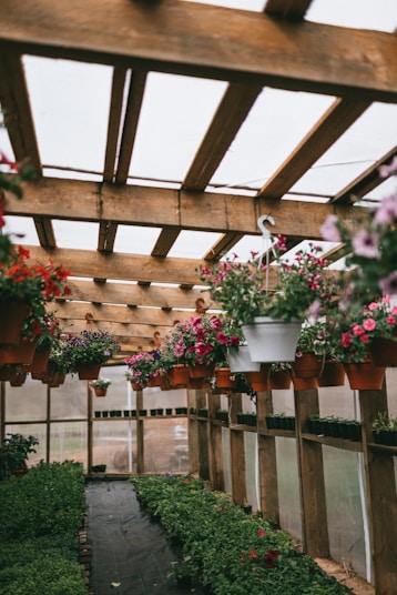 a group of potted plants on a wooden fence