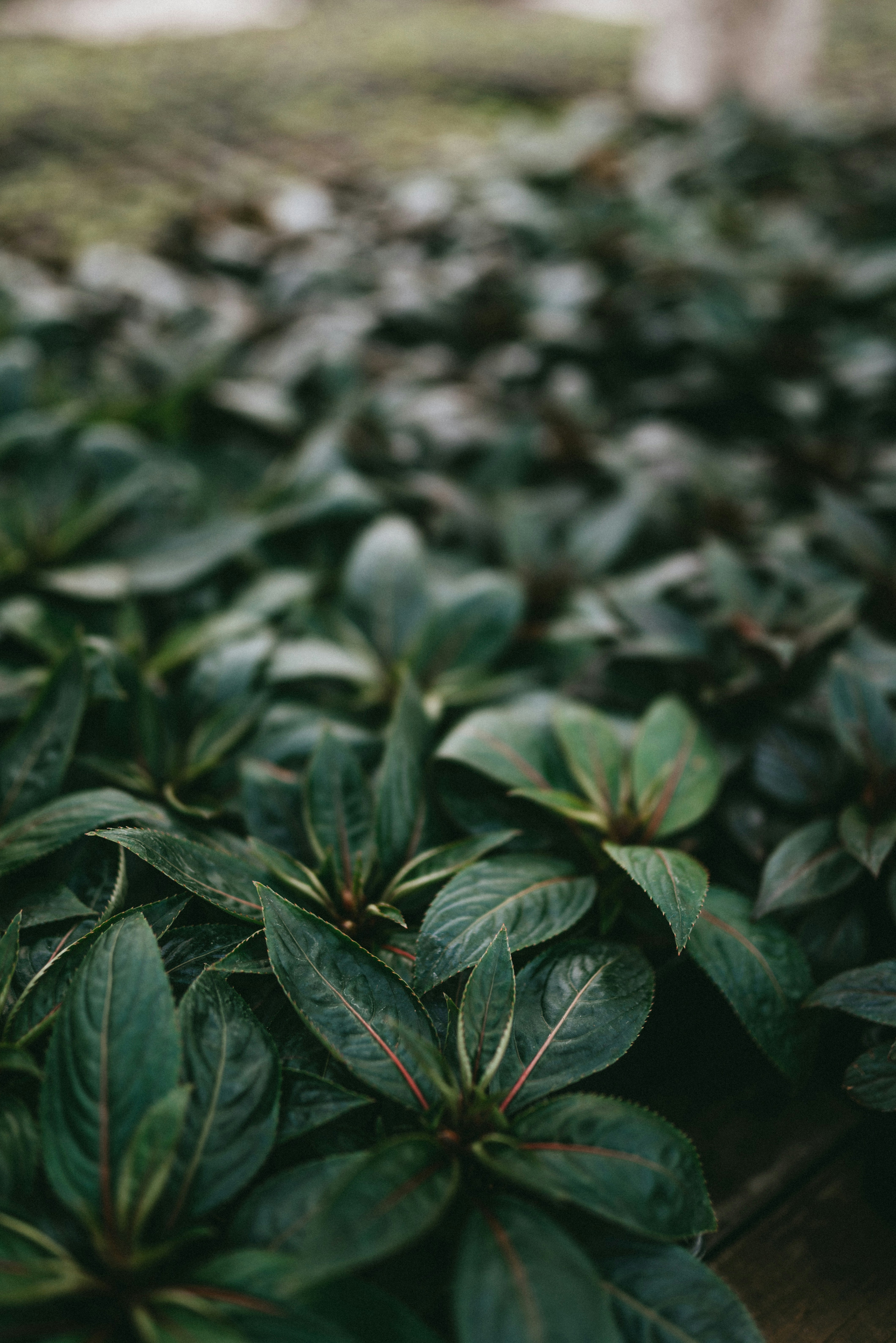 Photo by korobovaphoto