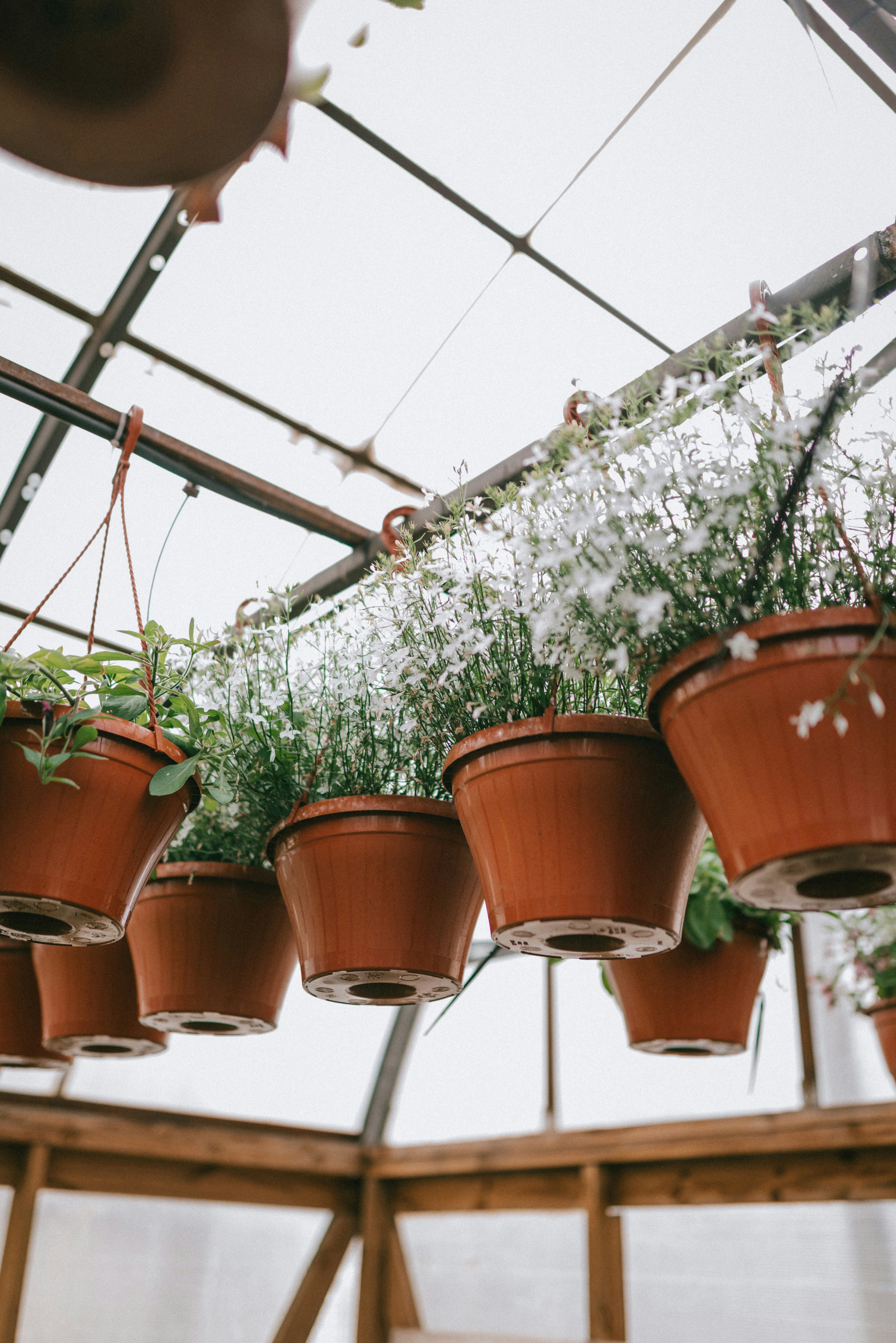 Photo by korobovaphoto