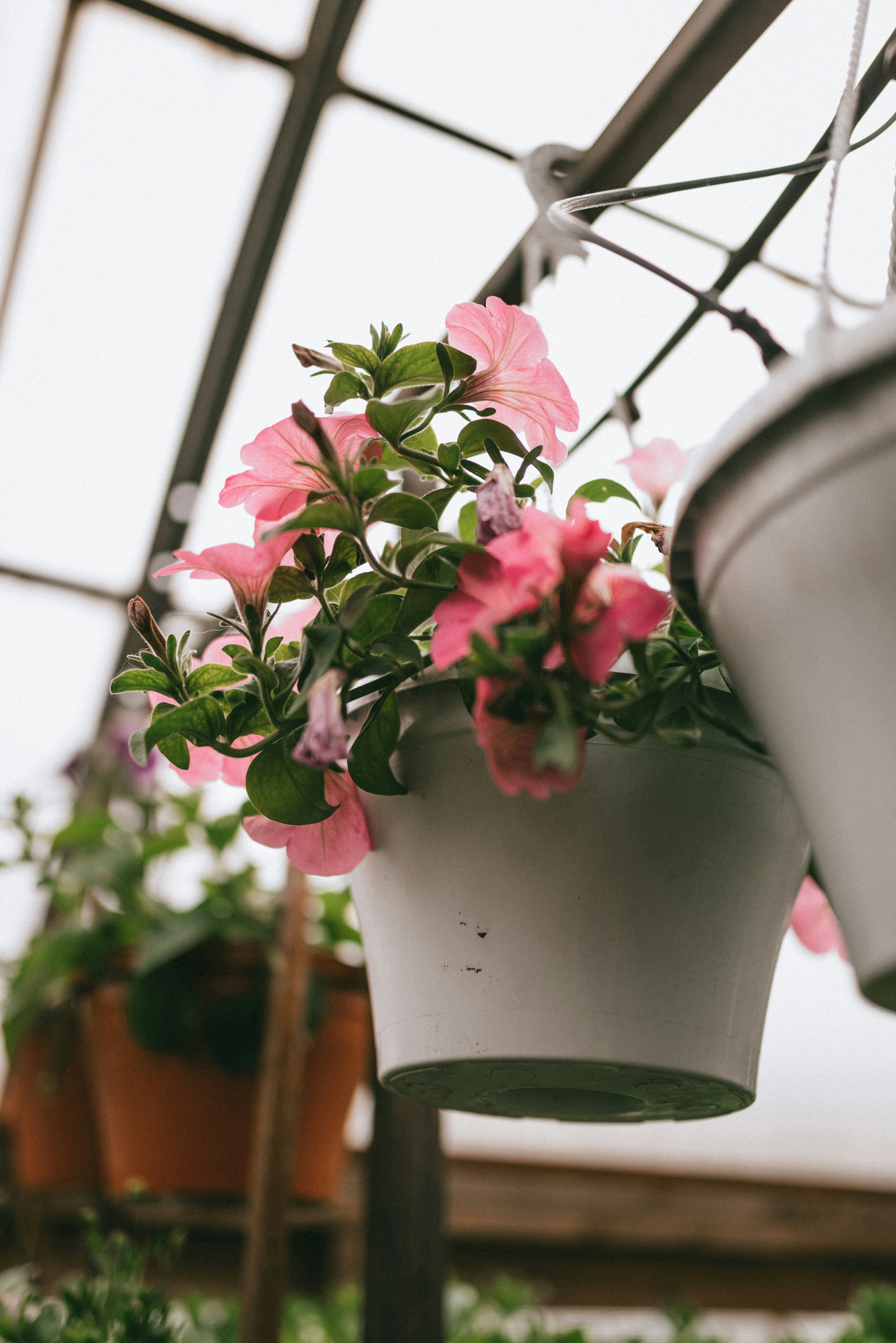 Photo by korobovaphoto