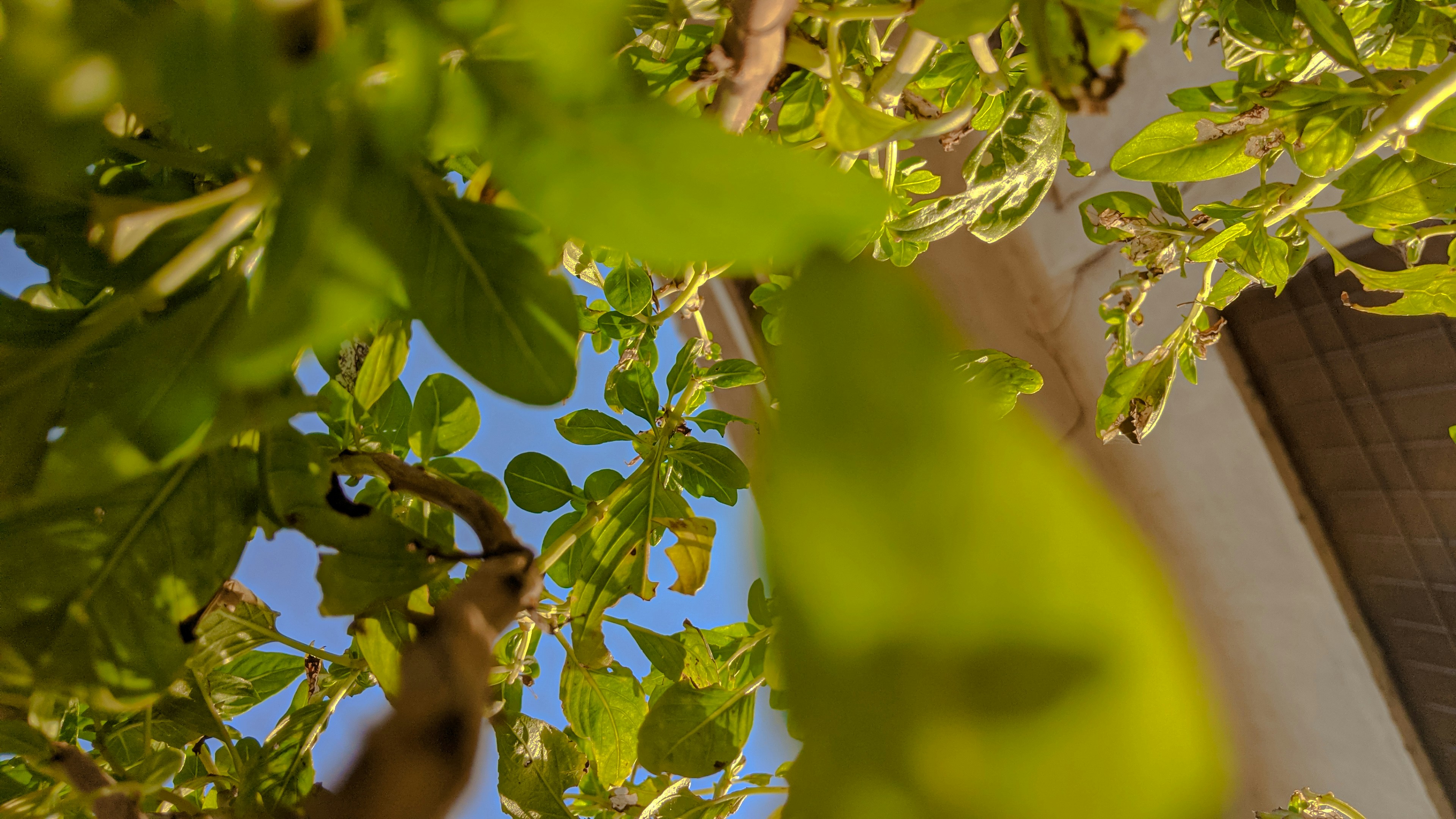 Photo by m_hussain___ali