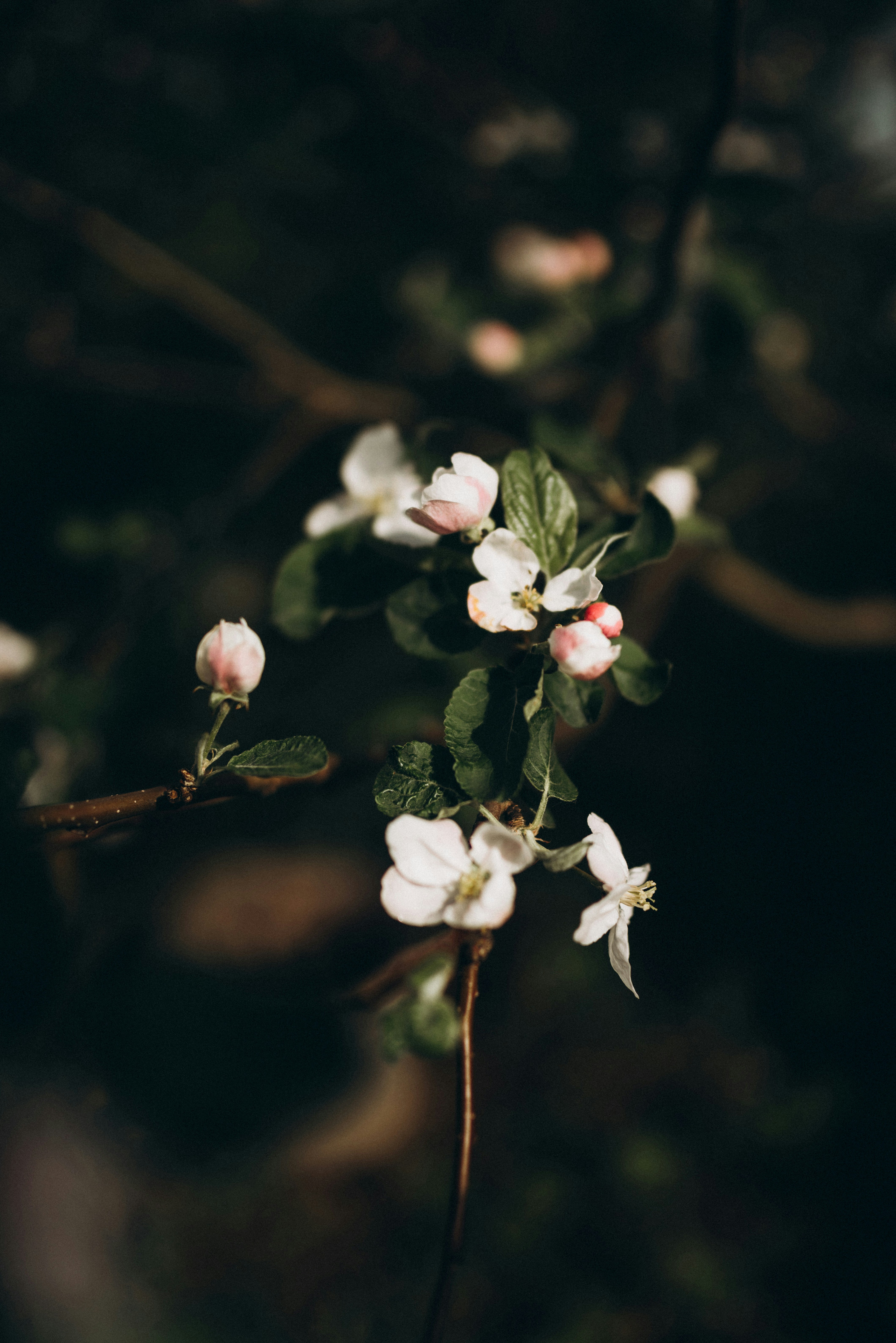 Photo by korobovaphoto