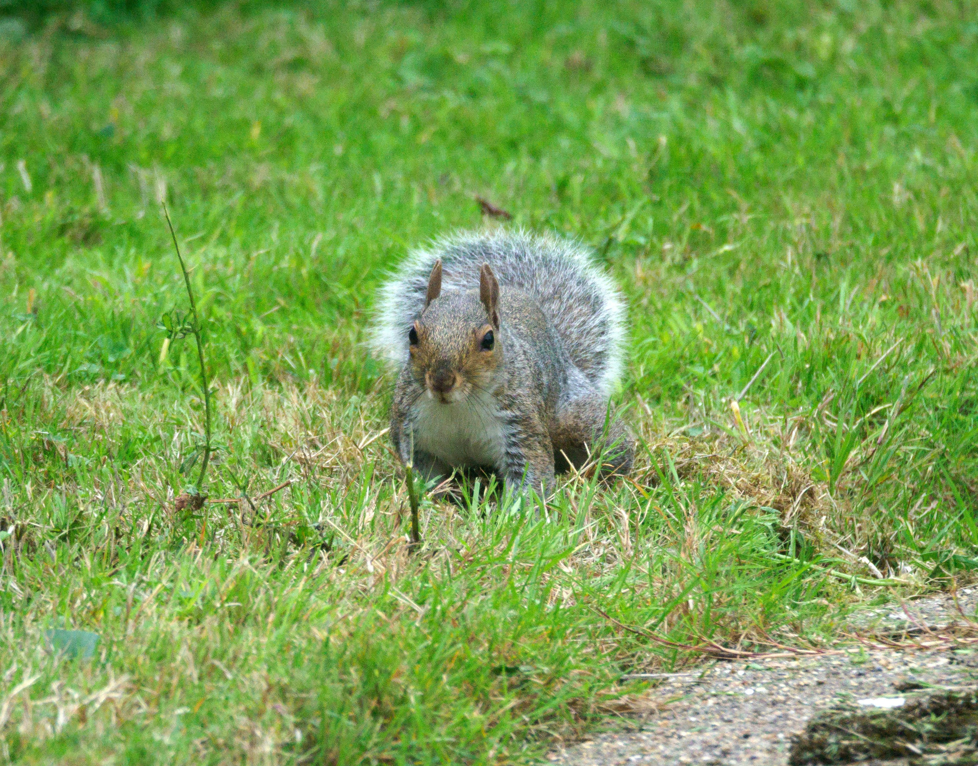 Photo by brett_jordan