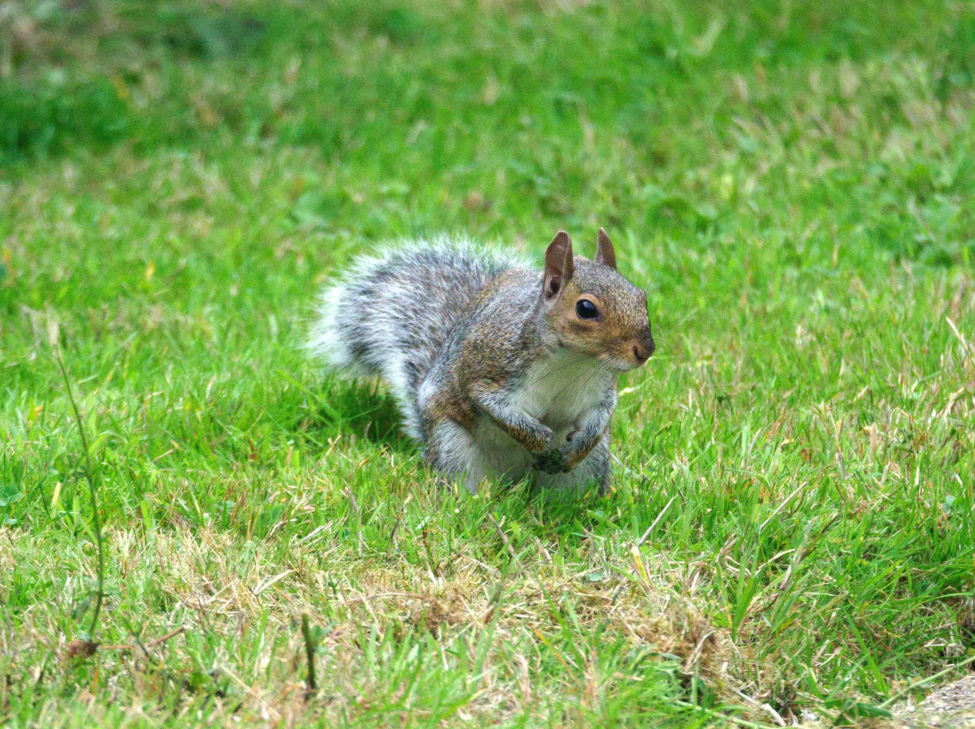 Photo by brett_jordan