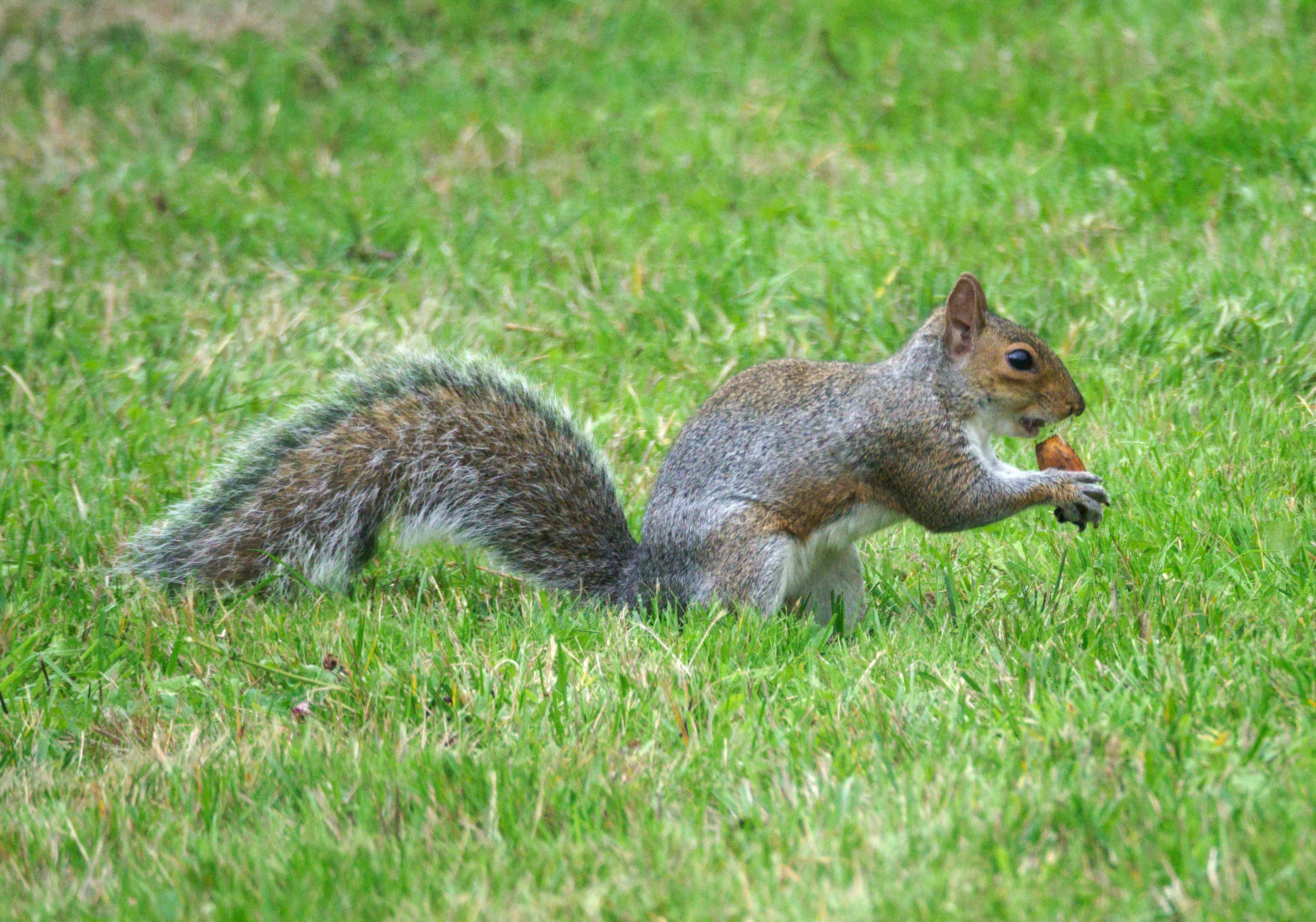 Photo by brett_jordan