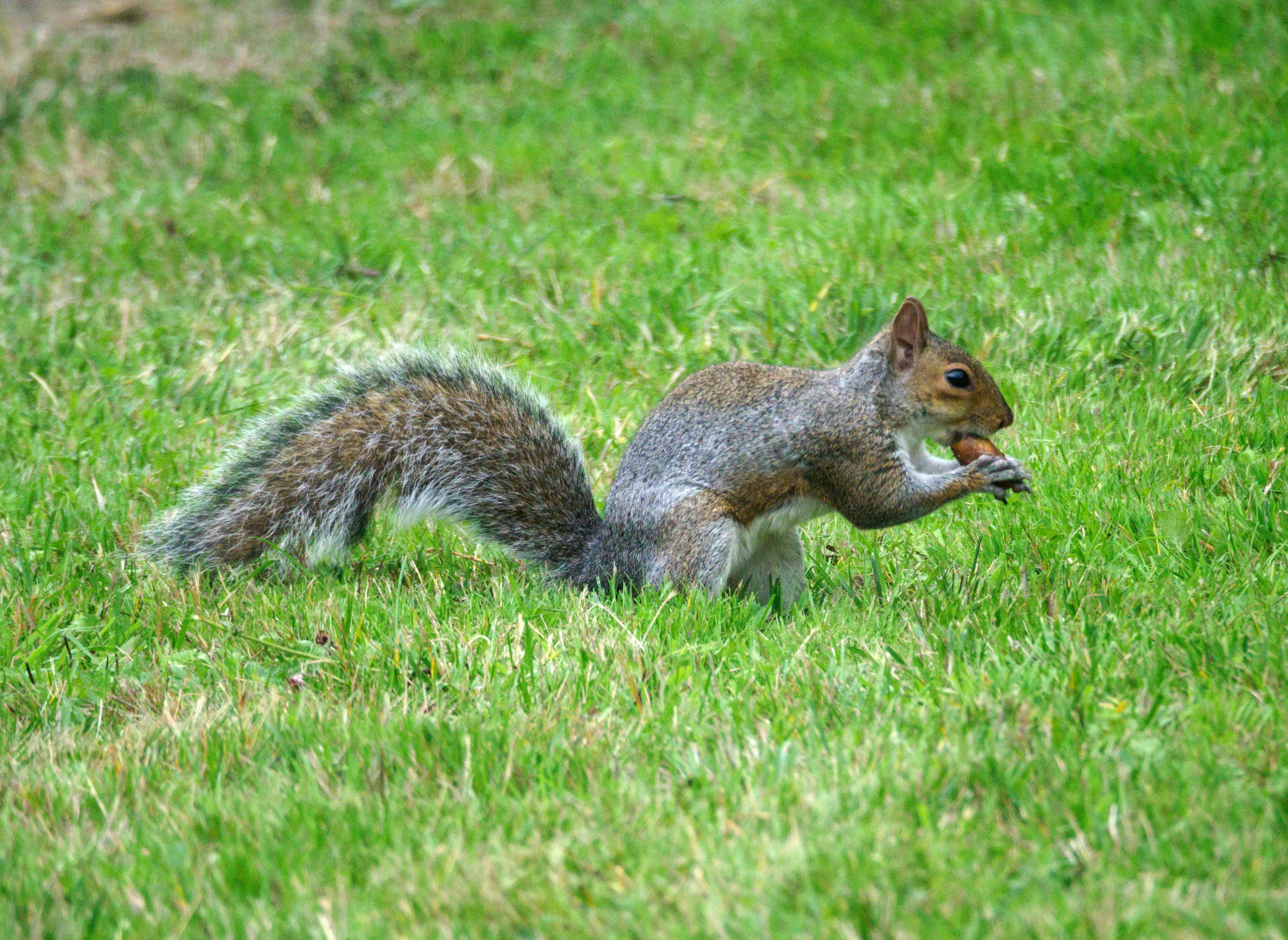 Photo by brett_jordan