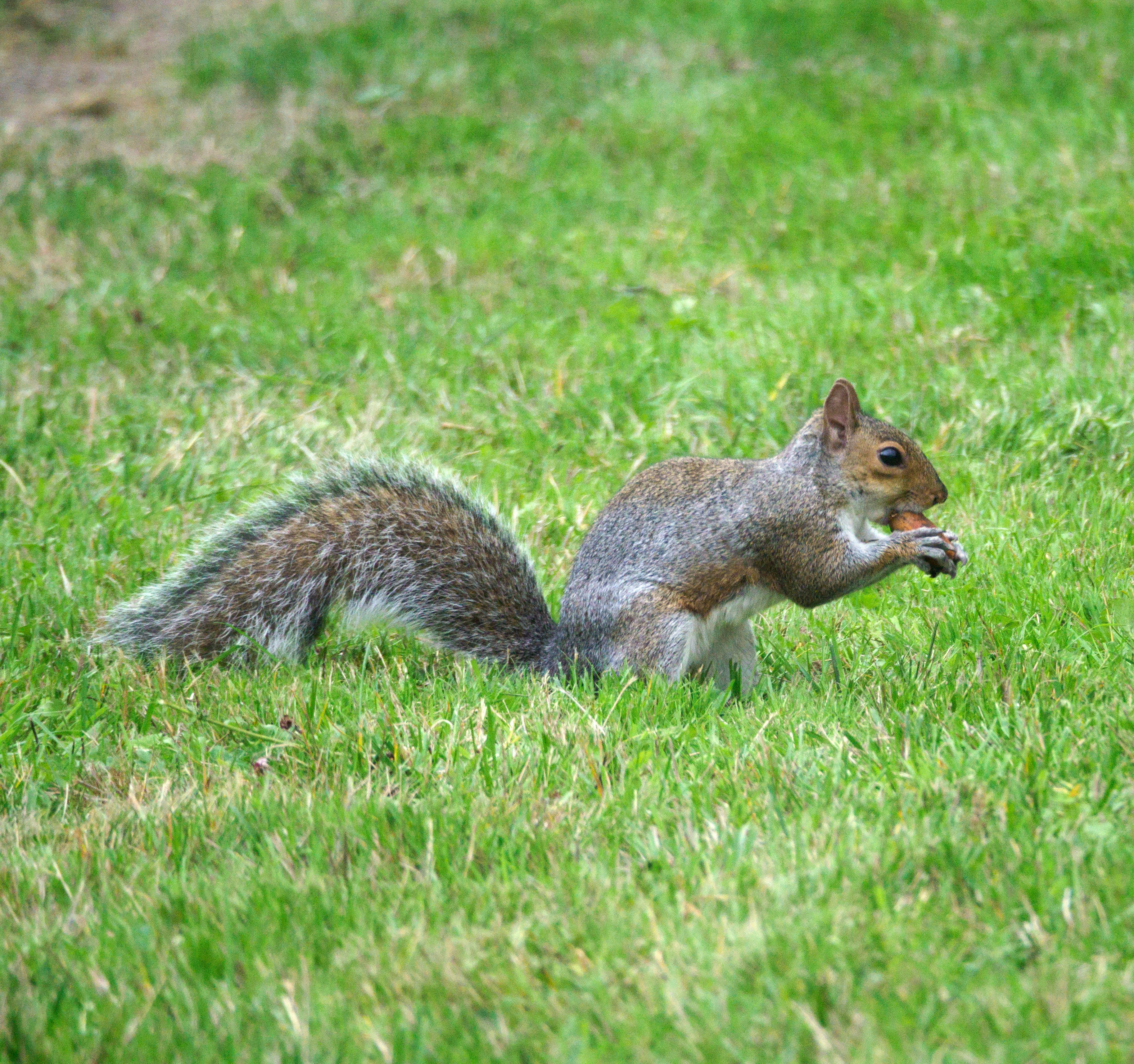 Photo by brett_jordan