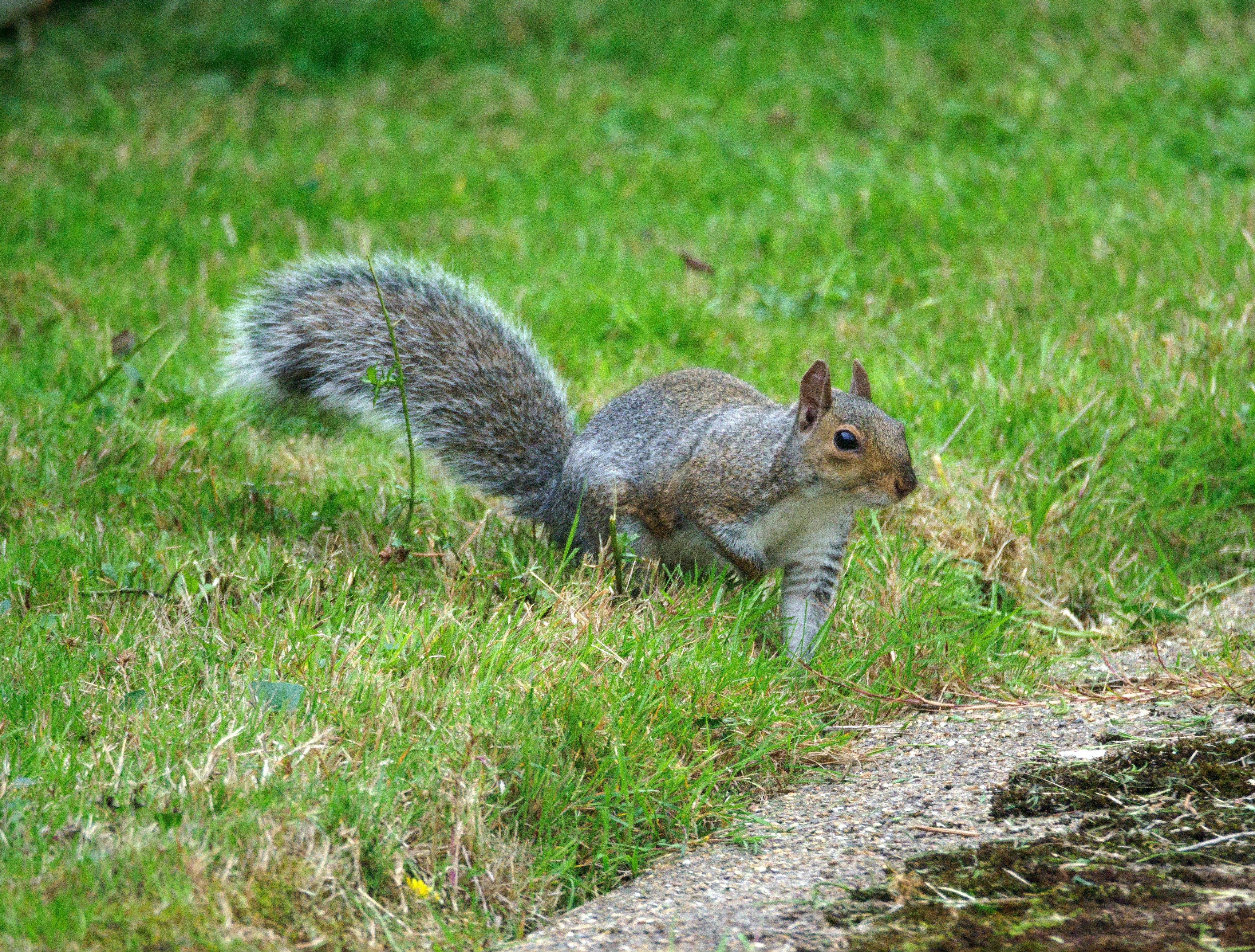 Photo by brett_jordan