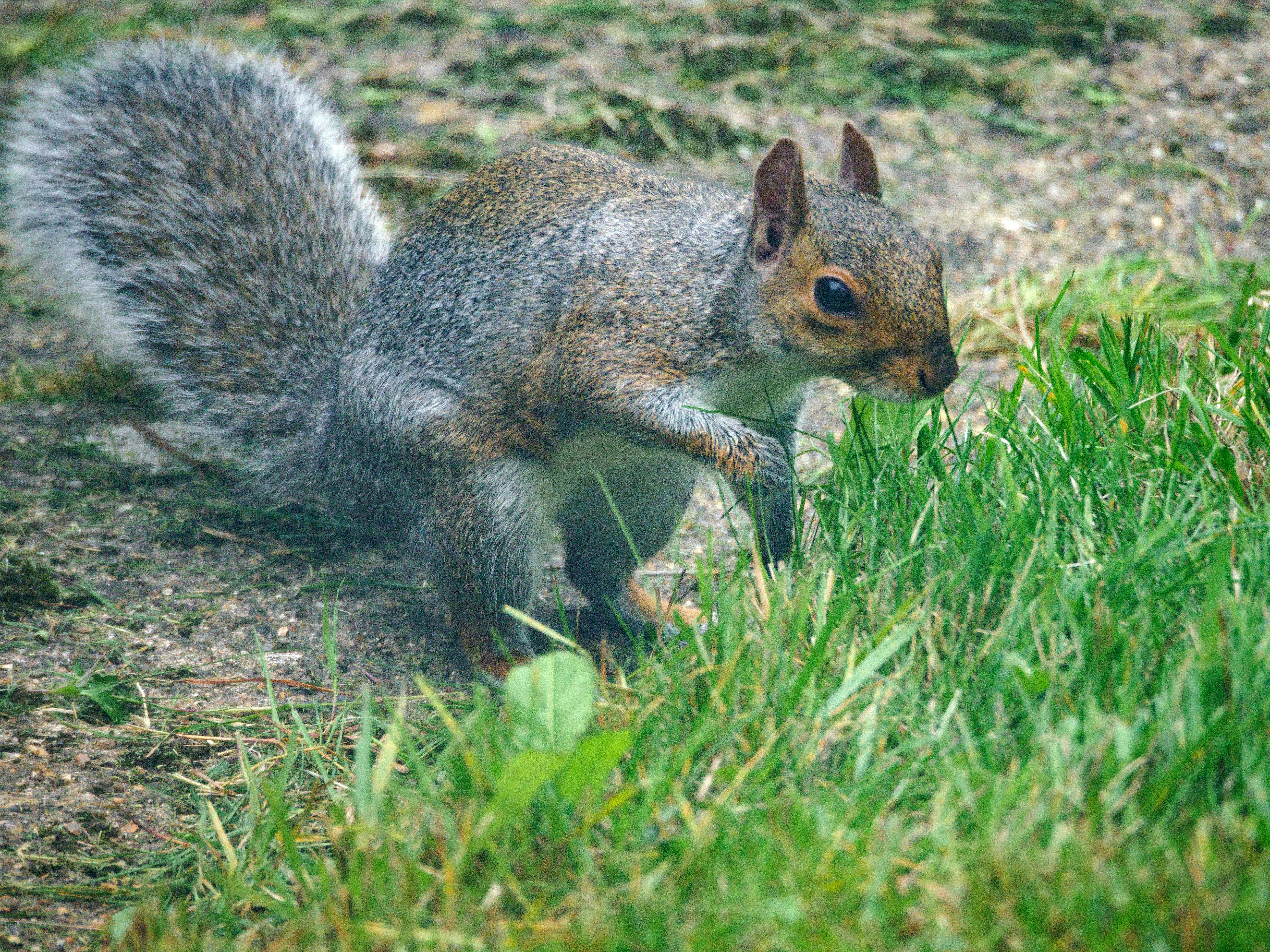 Photo by brett_jordan