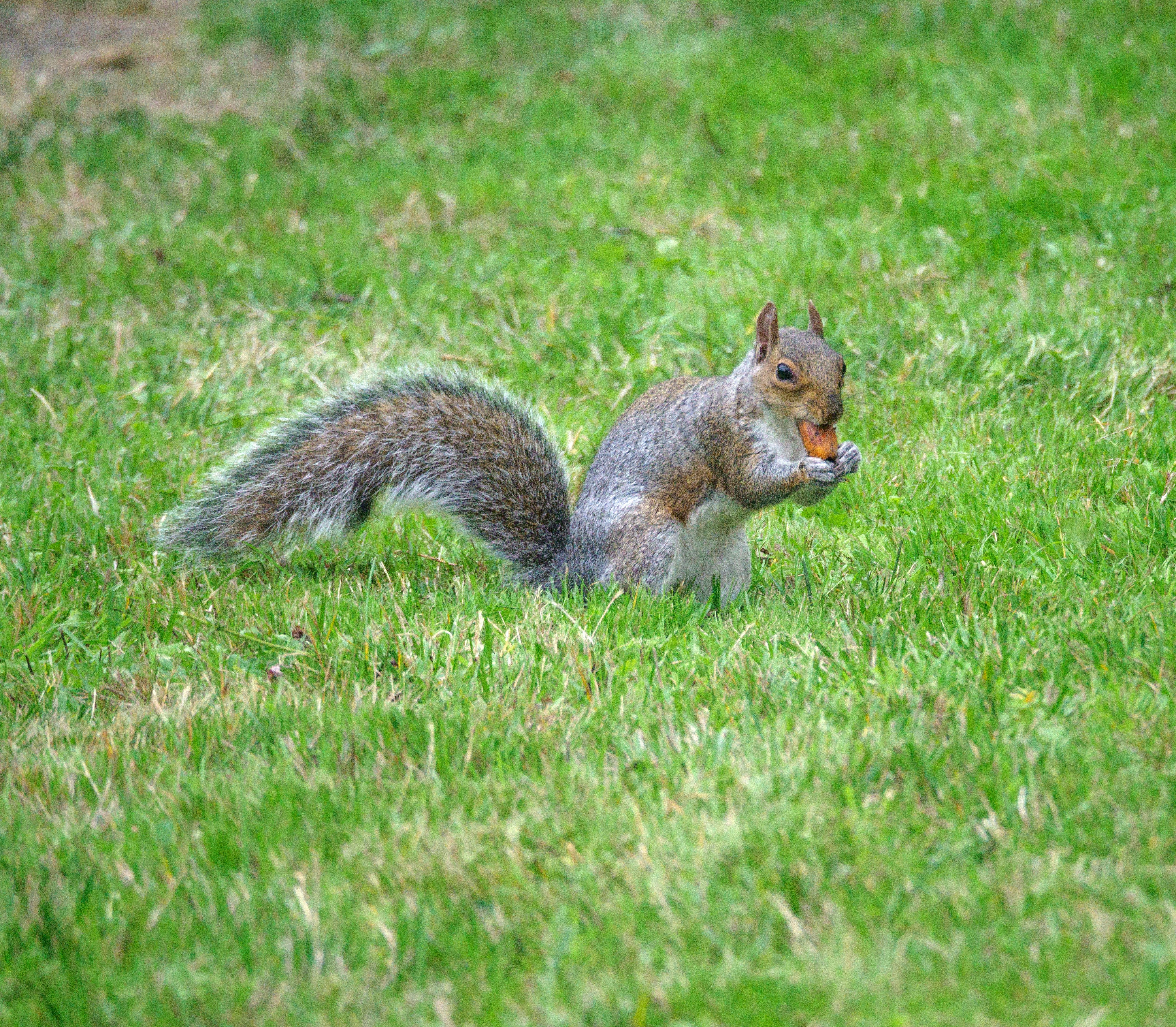 Photo by brett_jordan