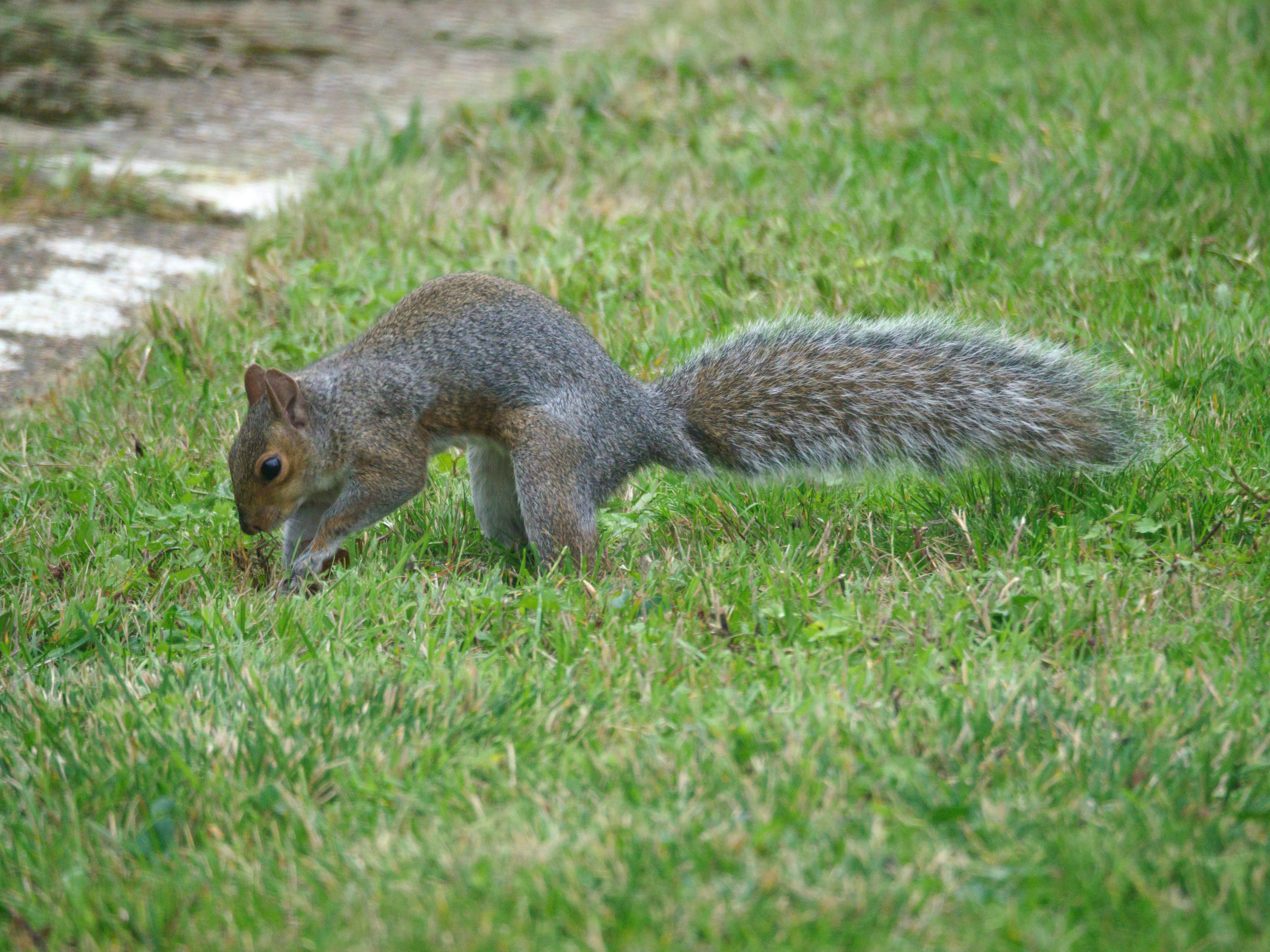 Photo by brett_jordan