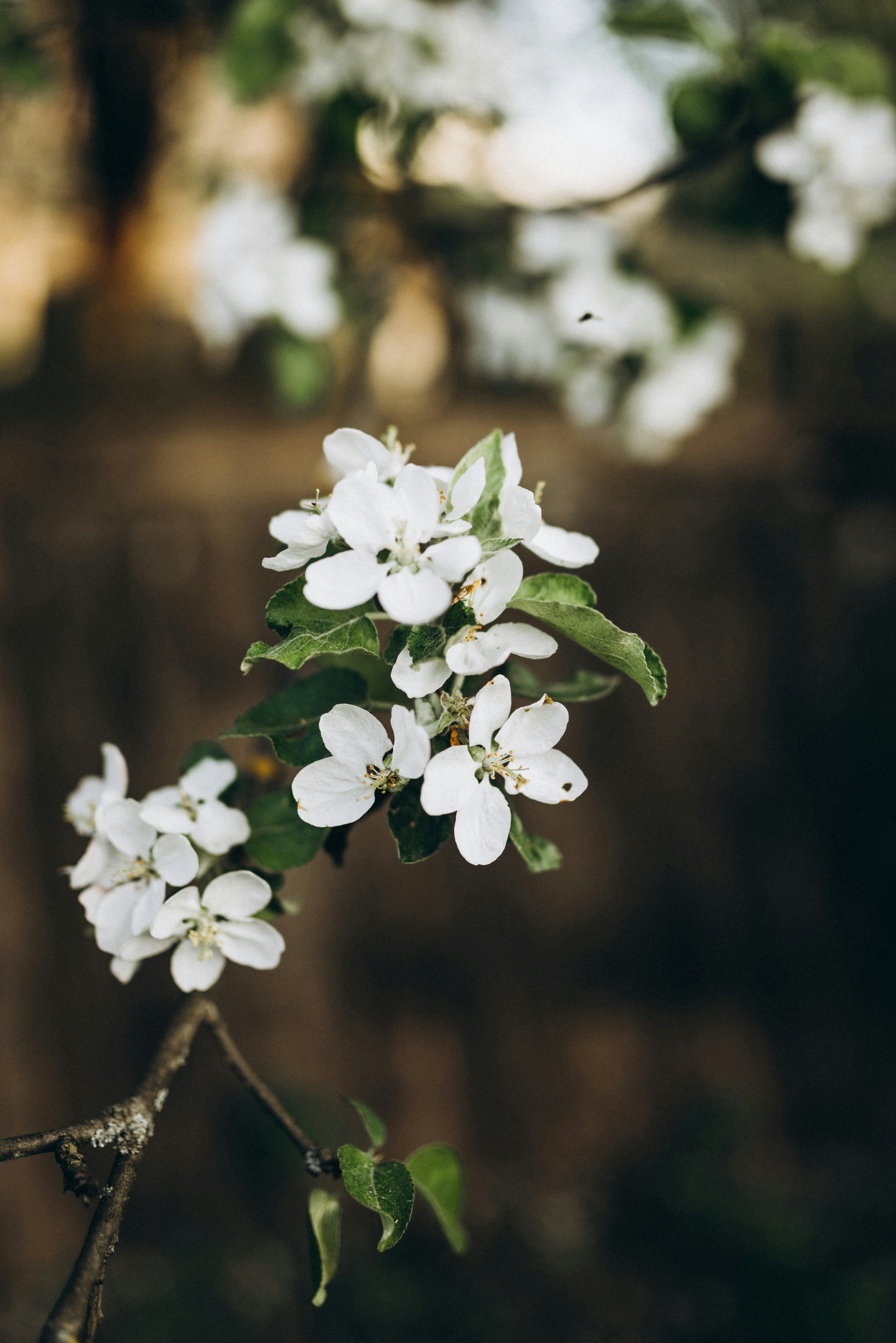 Photo by korobovaphoto