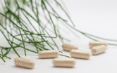 Suplementos alimenticios