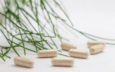 Suplementos alimenticios
