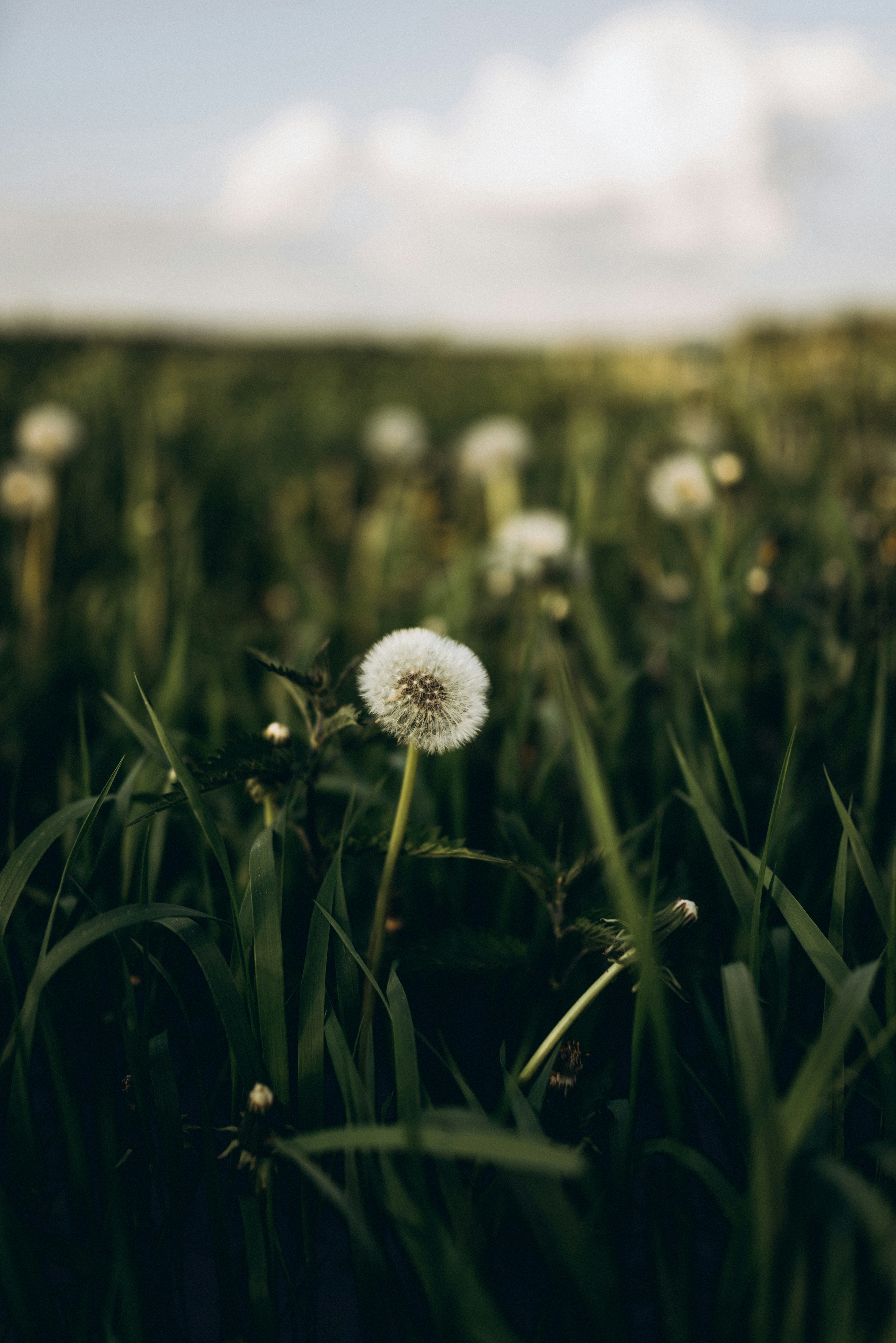 Photo by korobovaphoto