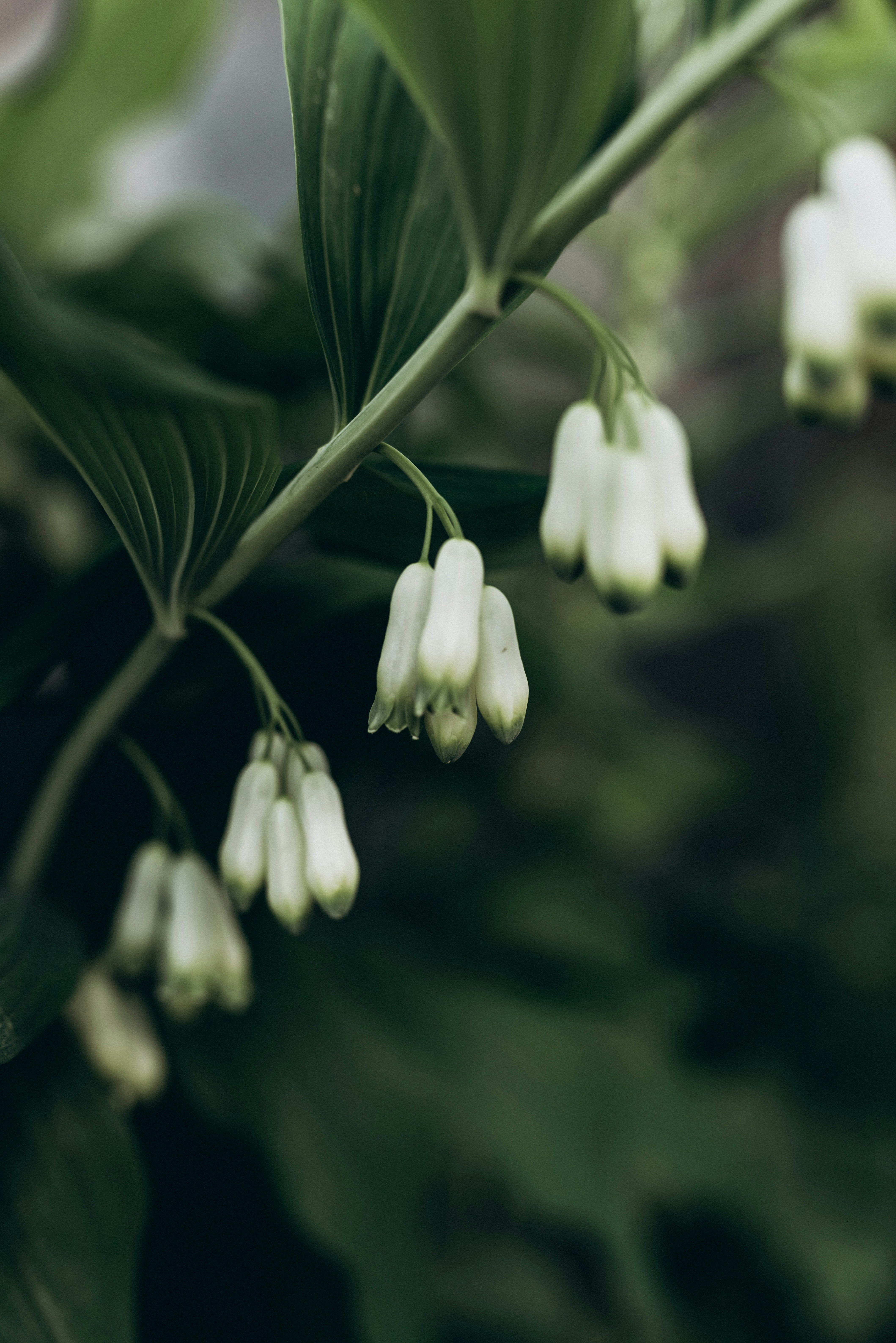 Photo by korobovaphoto