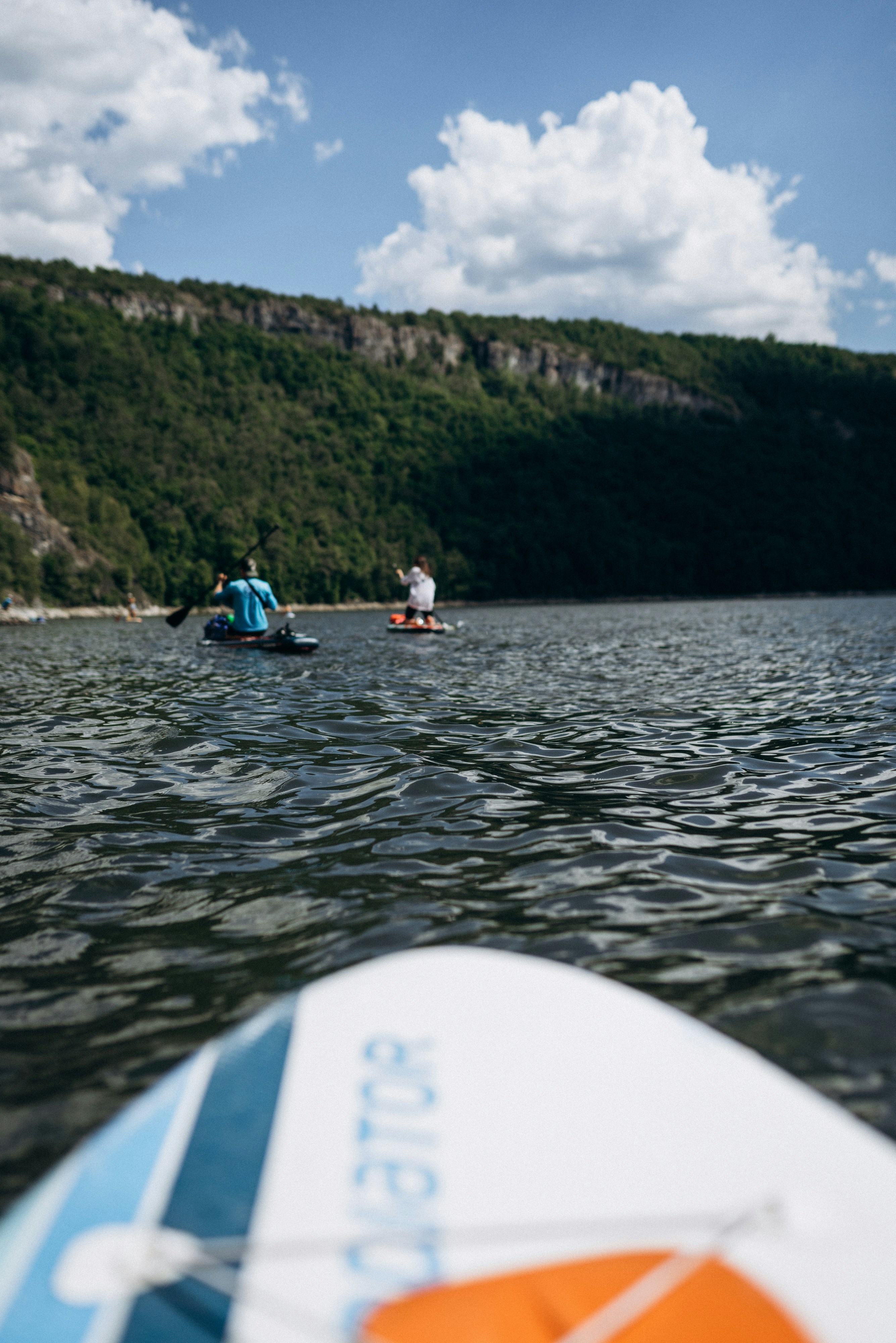 Photo by korobovaphoto