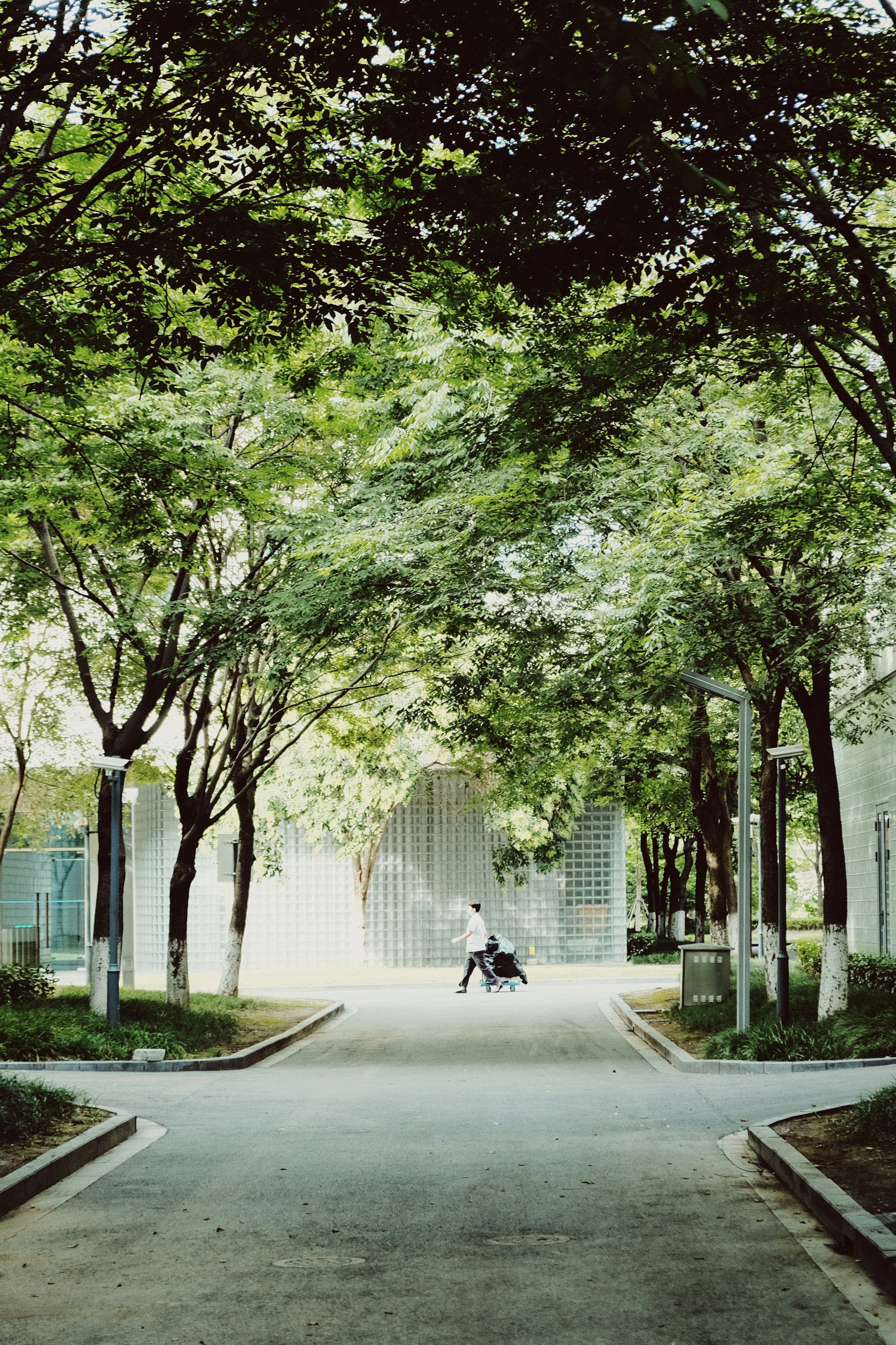 Photo by yvonne_yang