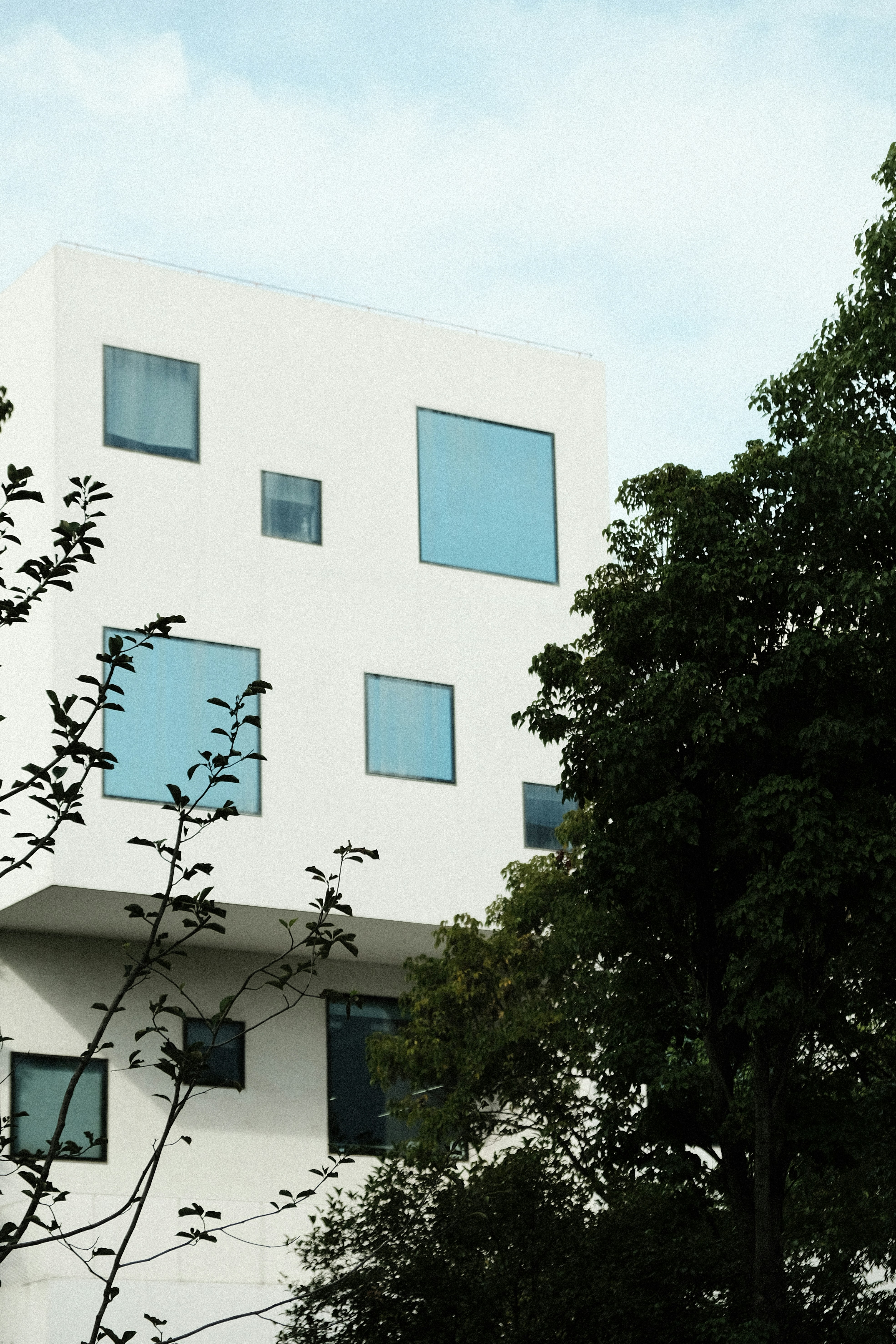 Photo by yvonne_yang