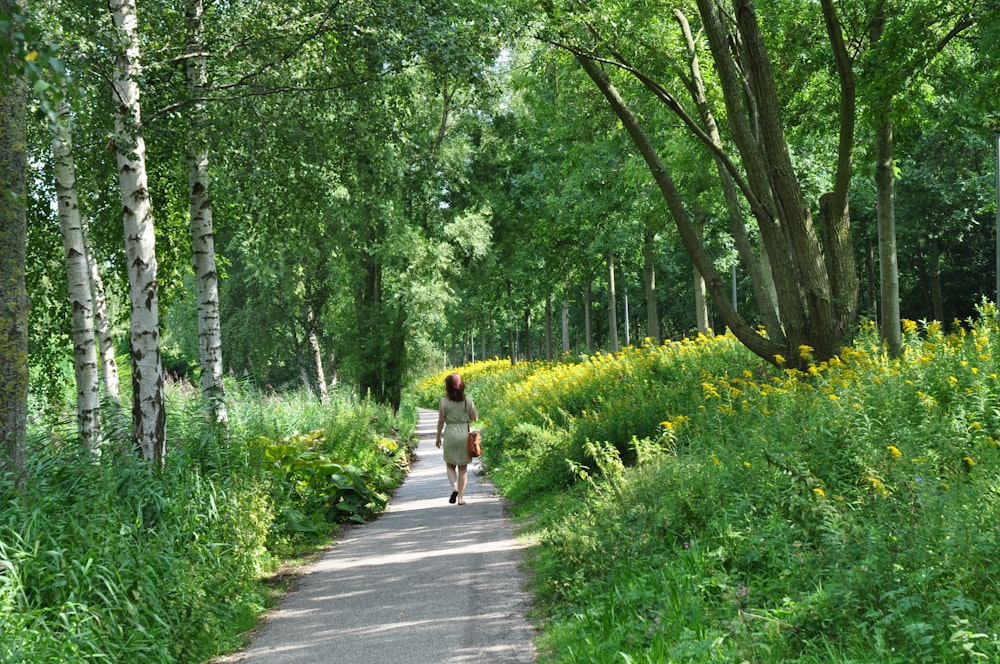 a person walking on a path in a forest