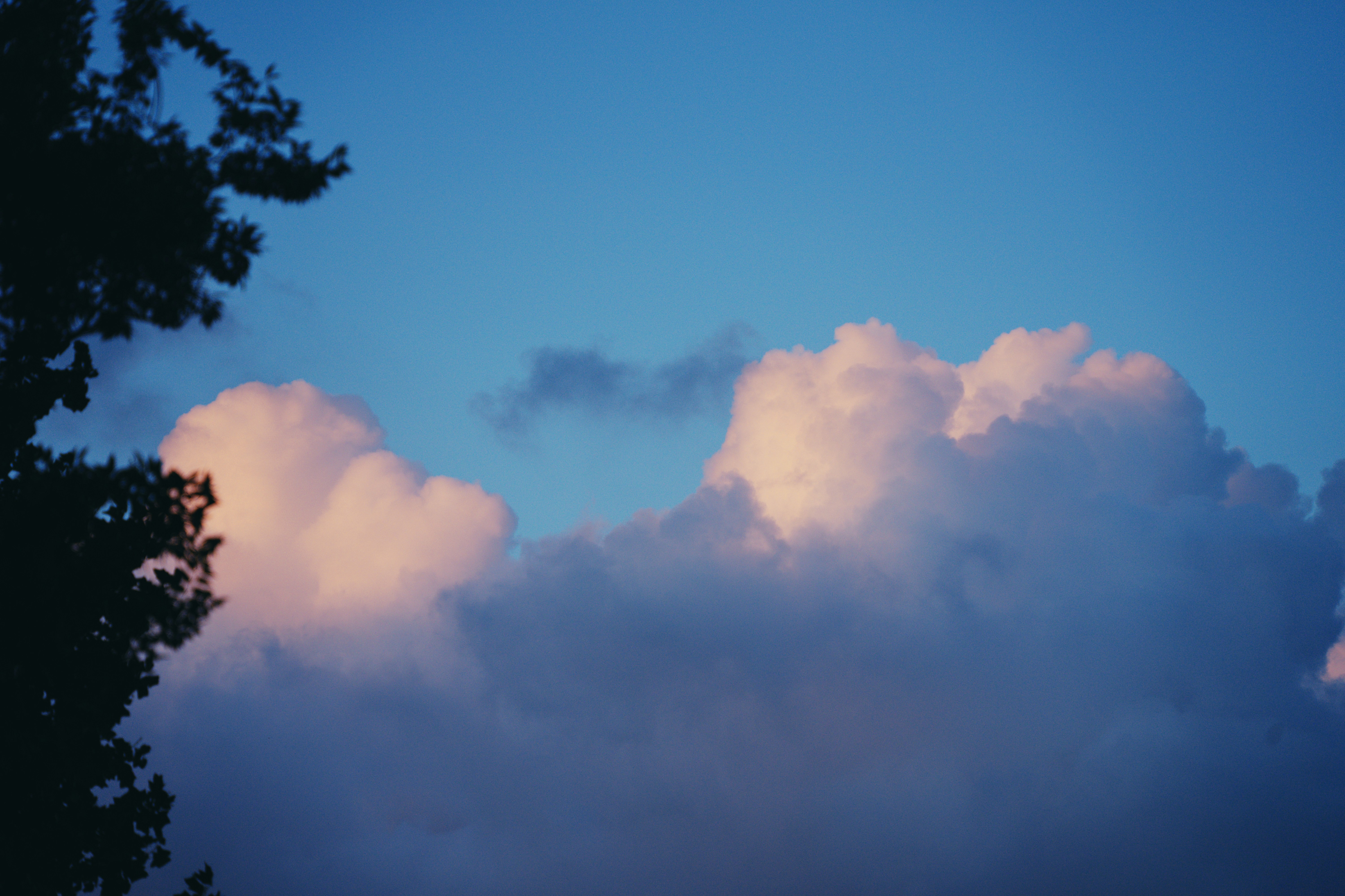 Photo by yvonne_yang