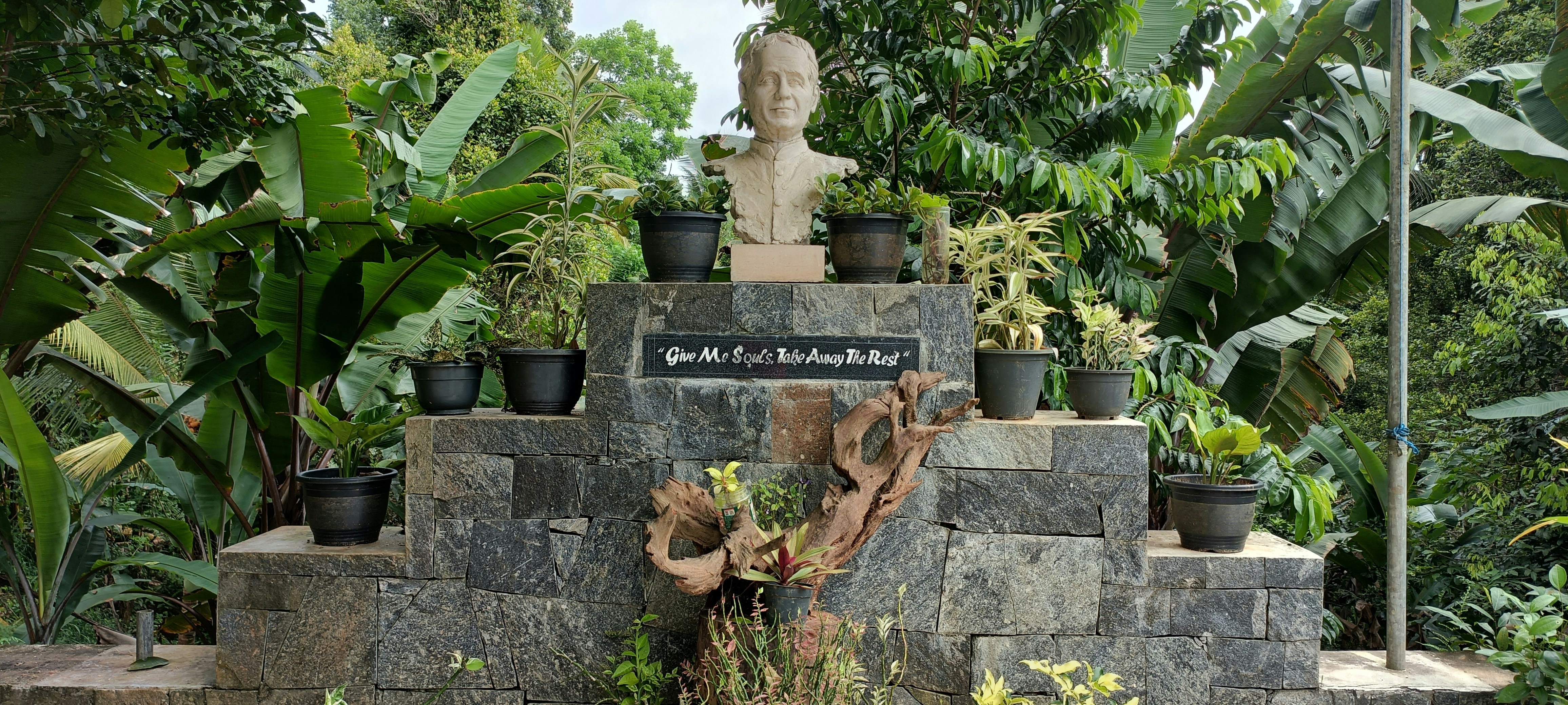 Eine Statue in einem Garten