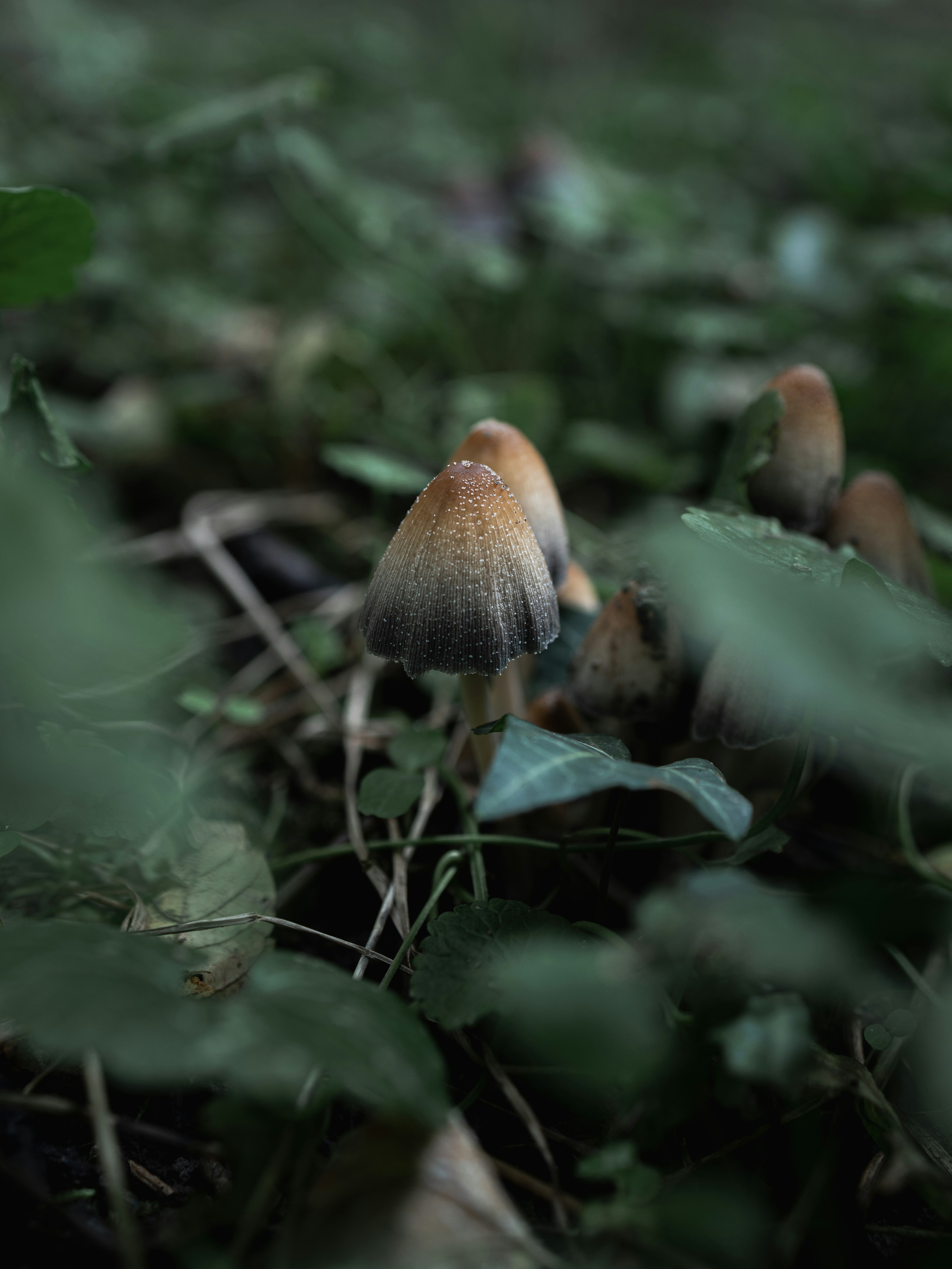 Photo by bnesic
