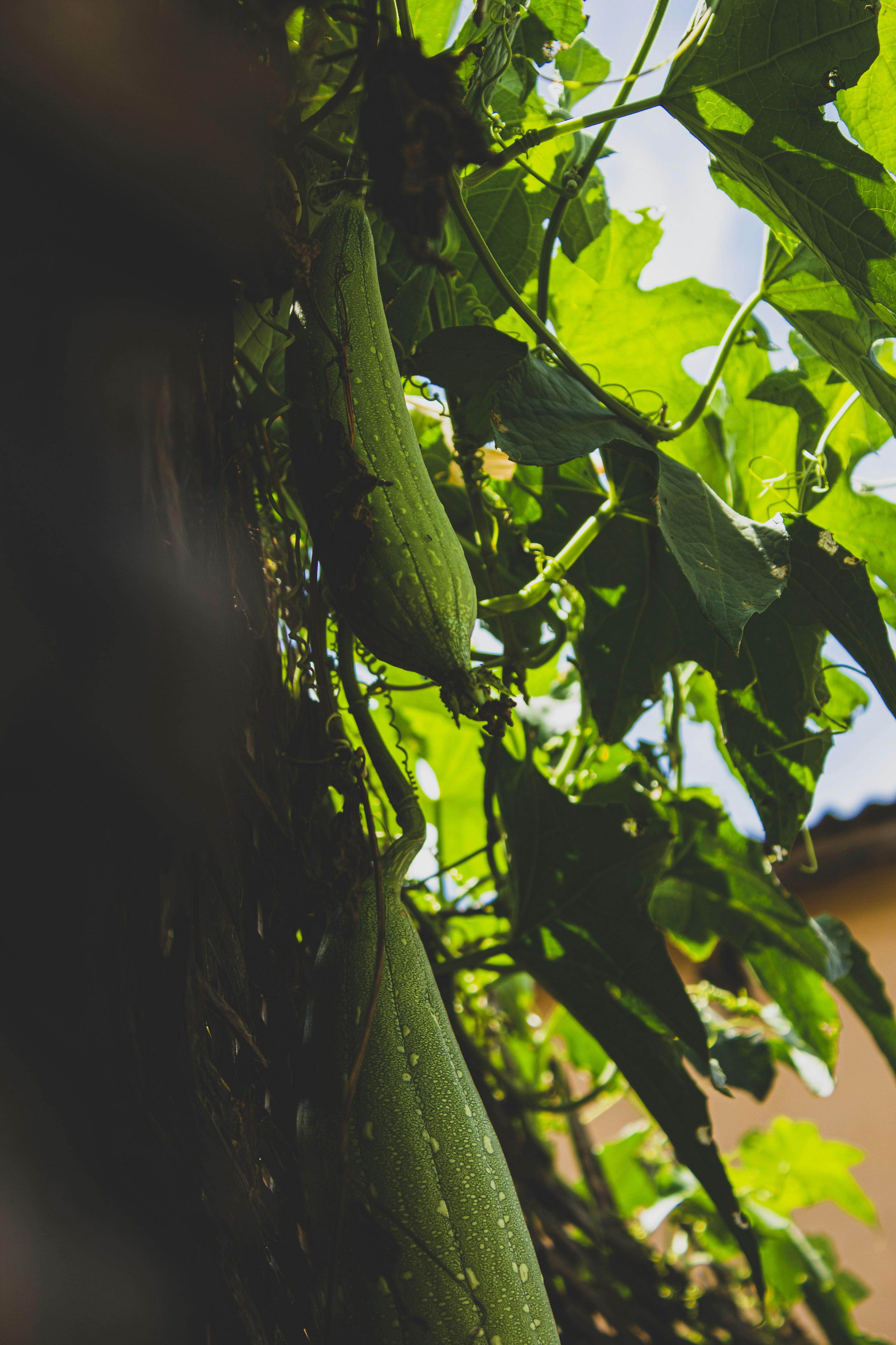 Photo by aryamatecnii