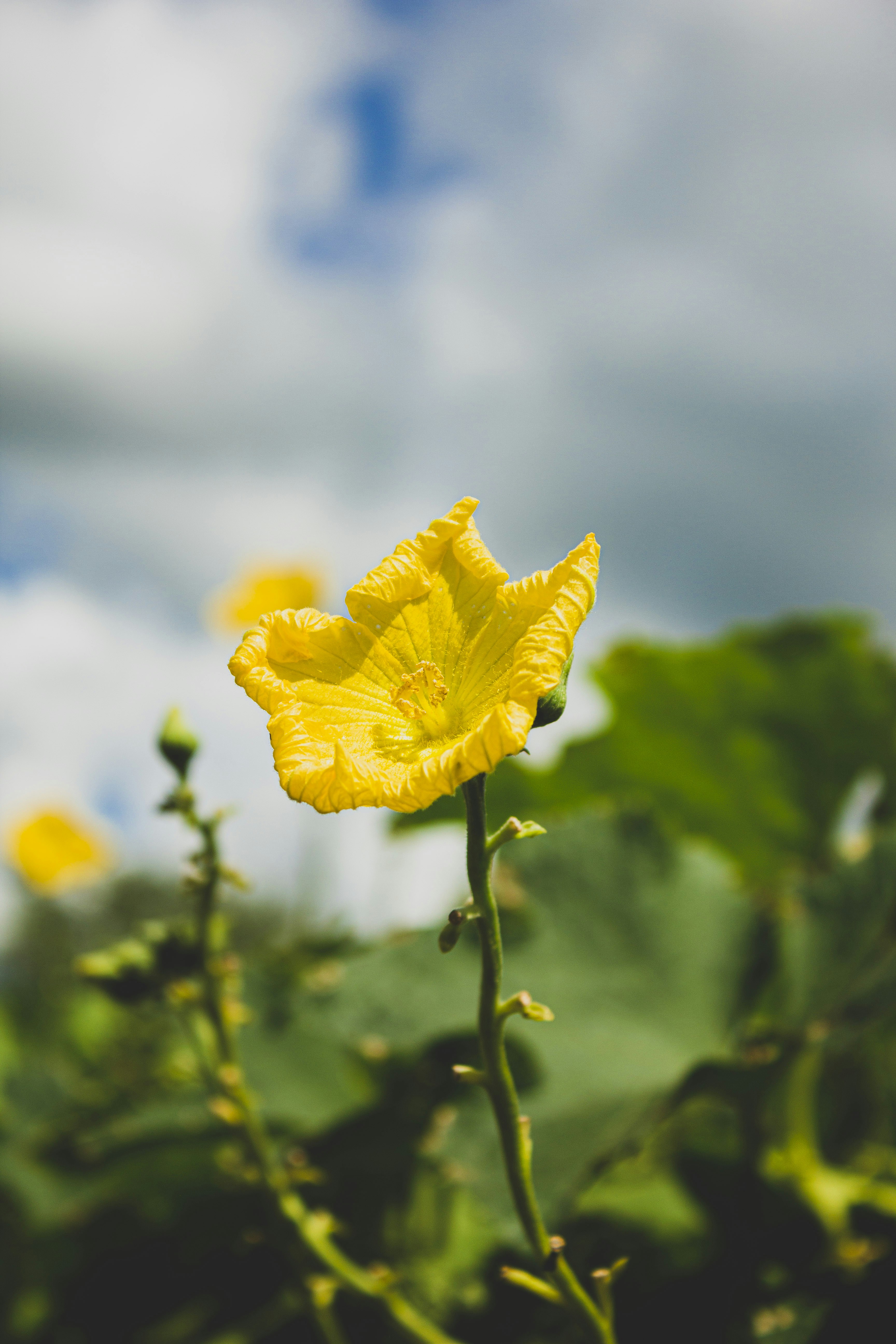 Photo by aryamatecnii