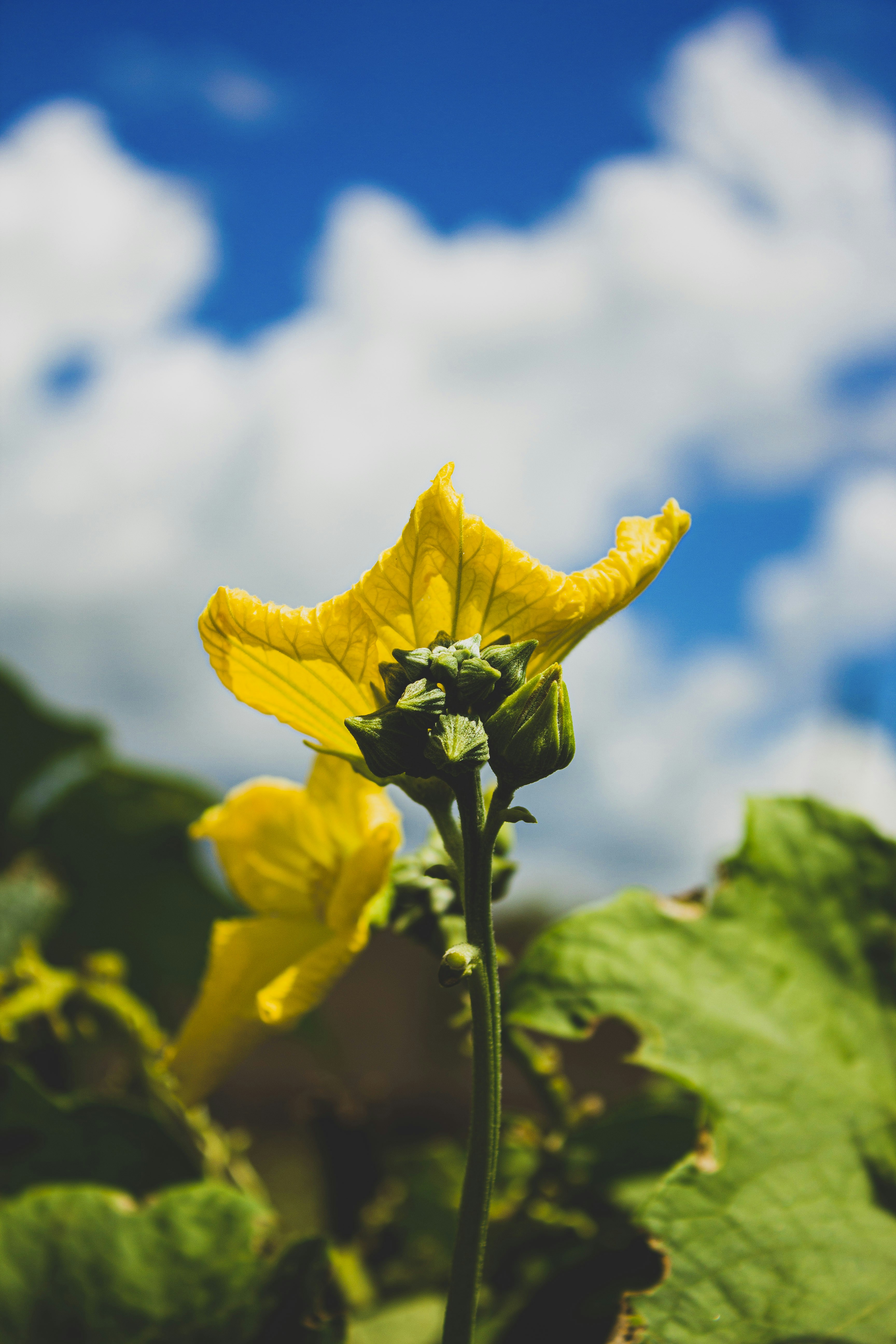 Photo by aryamatecnii