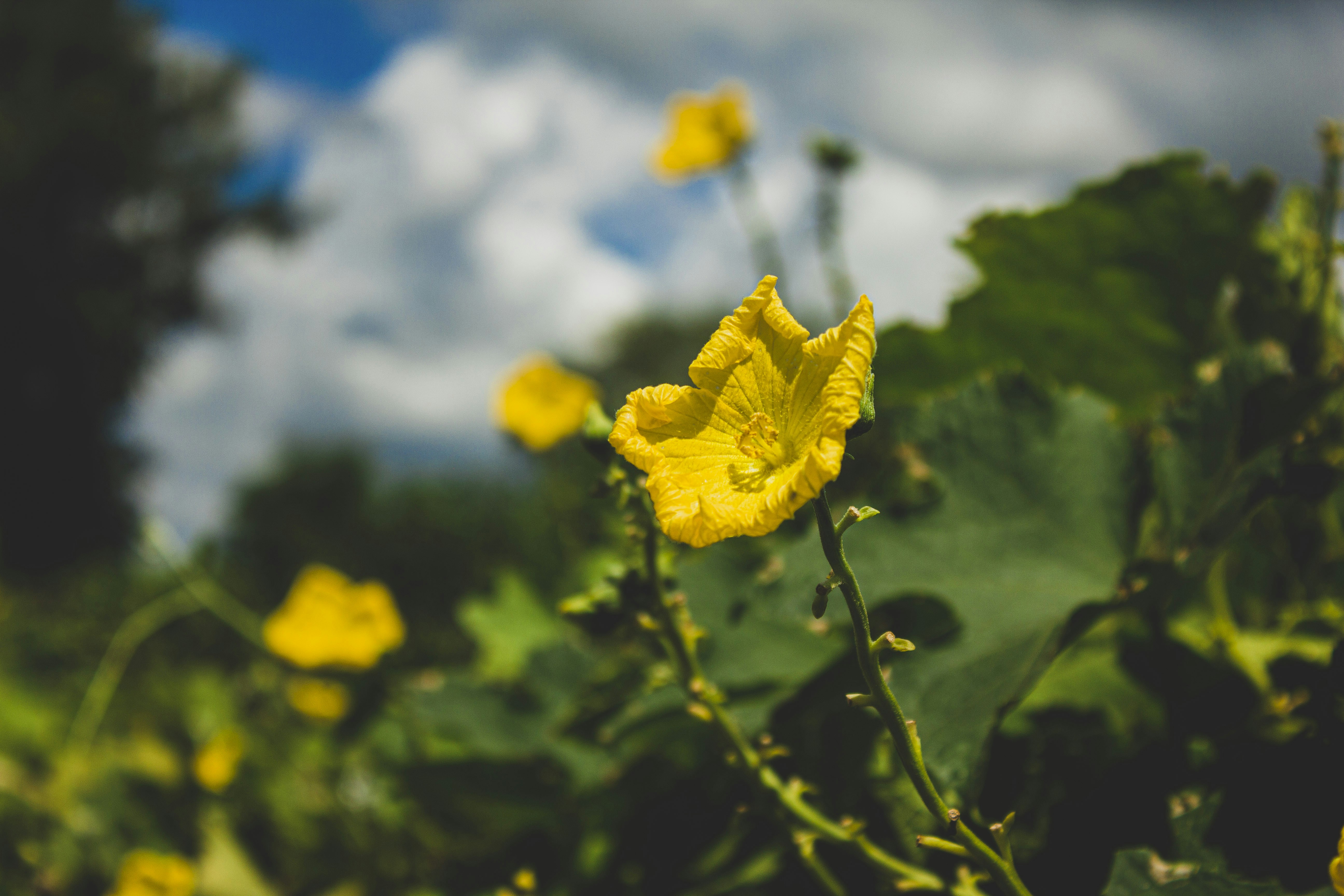 Photo by aryamatecnii