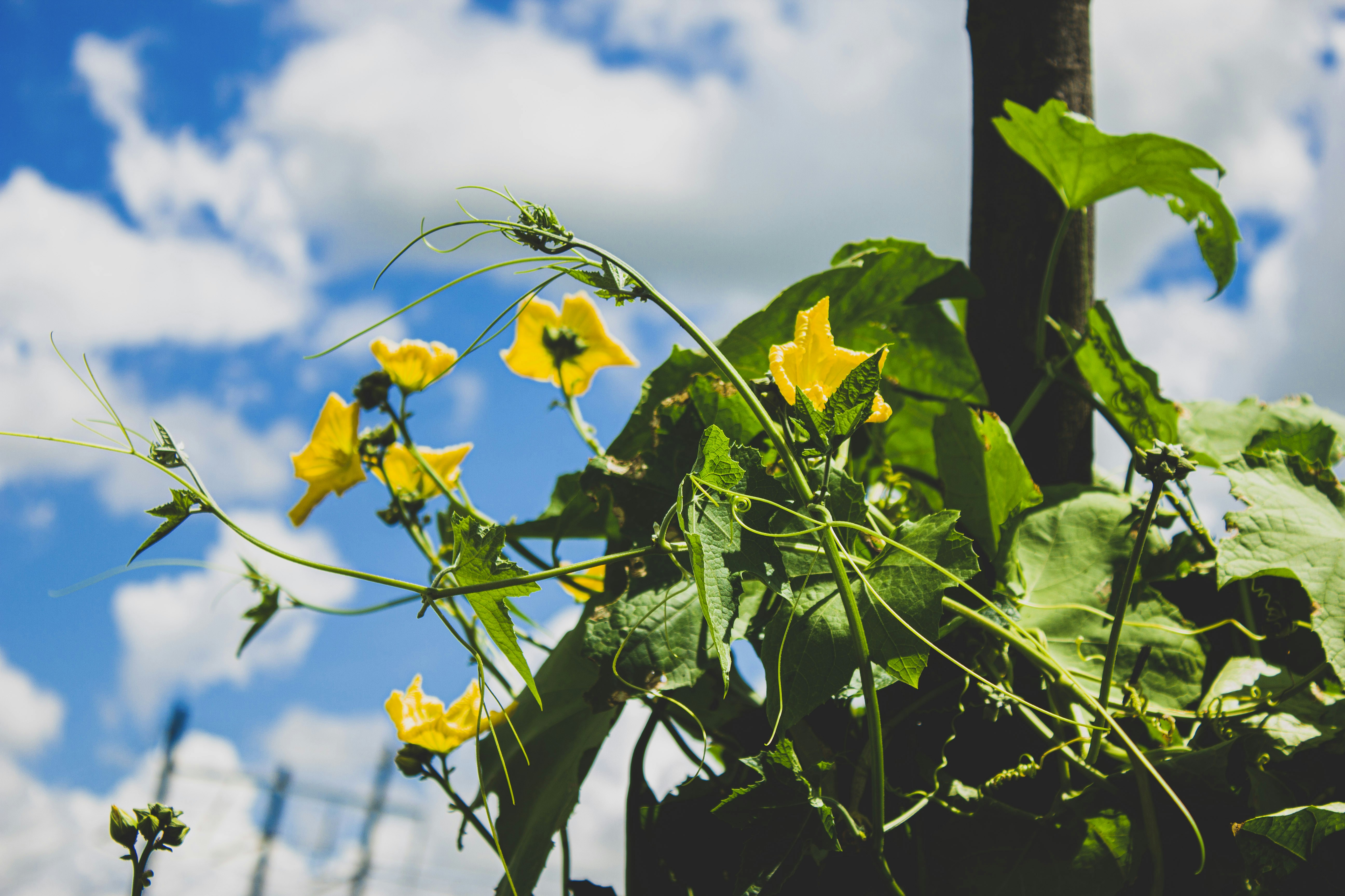 Photo by aryamatecnii