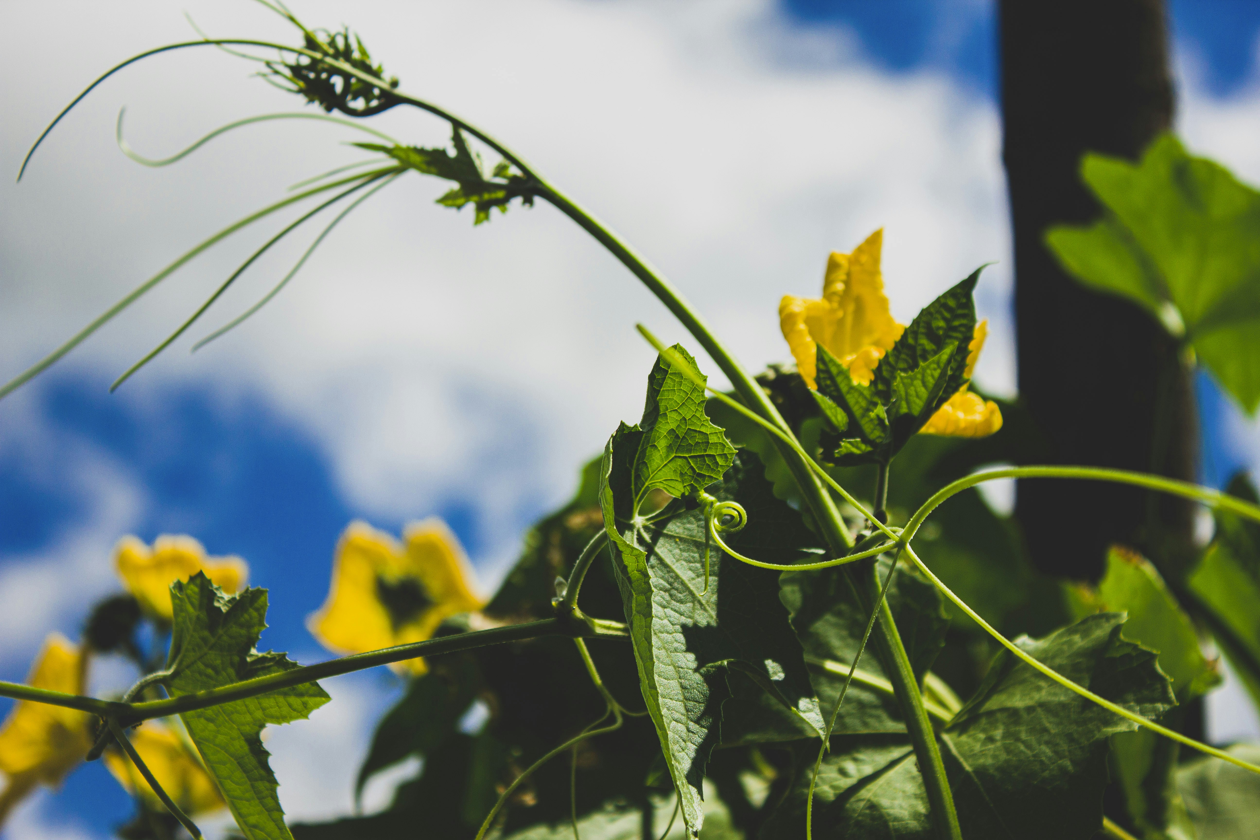 Photo by aryamatecnii