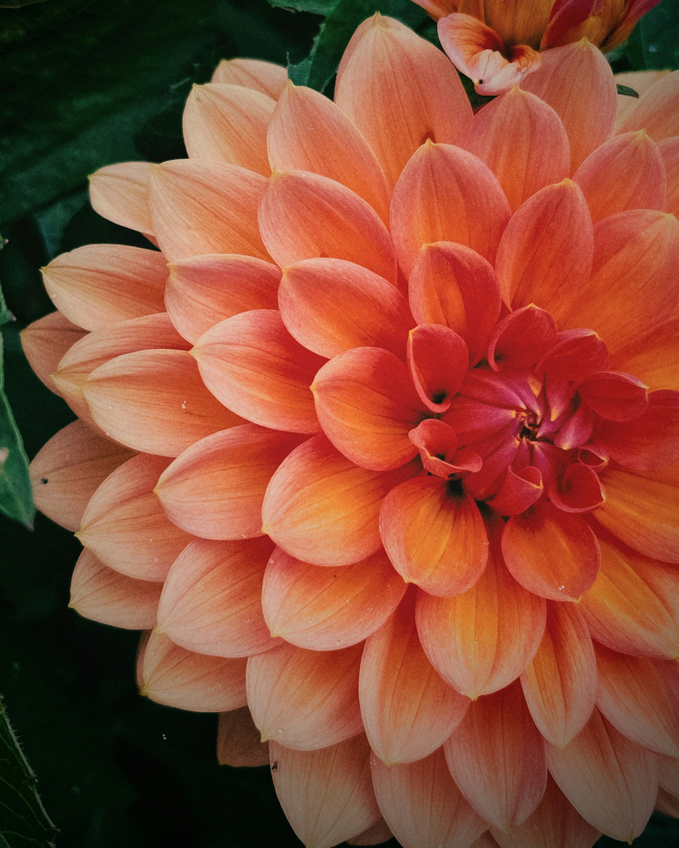 Photo by andreeamarialoga