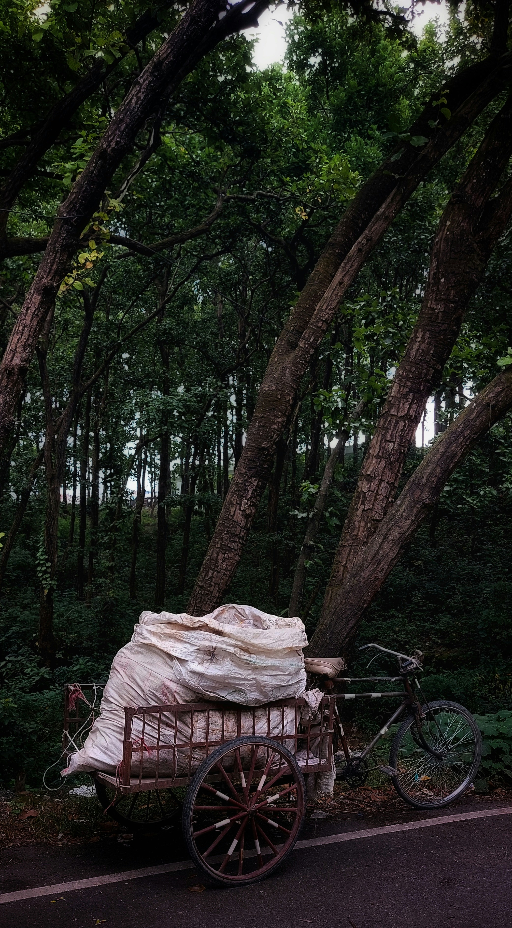 현실 로그아웃, 꿈 접속 완료: 가상 세계에 영혼을 던지다