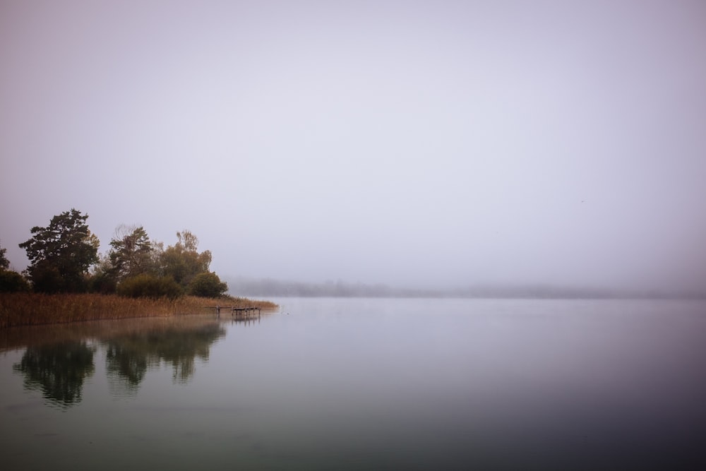 a body of water with trees on the side